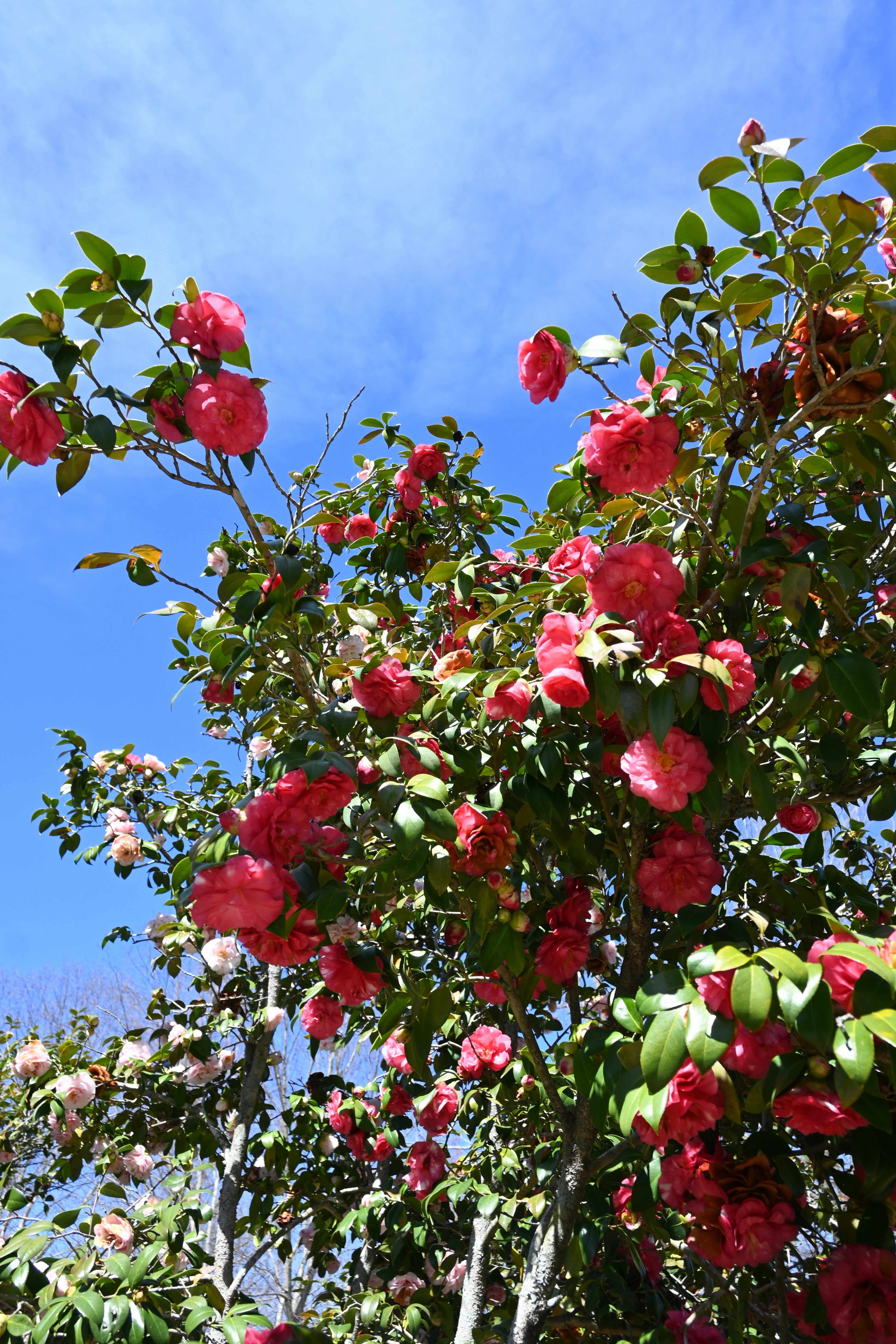 Photo by karolinabobek