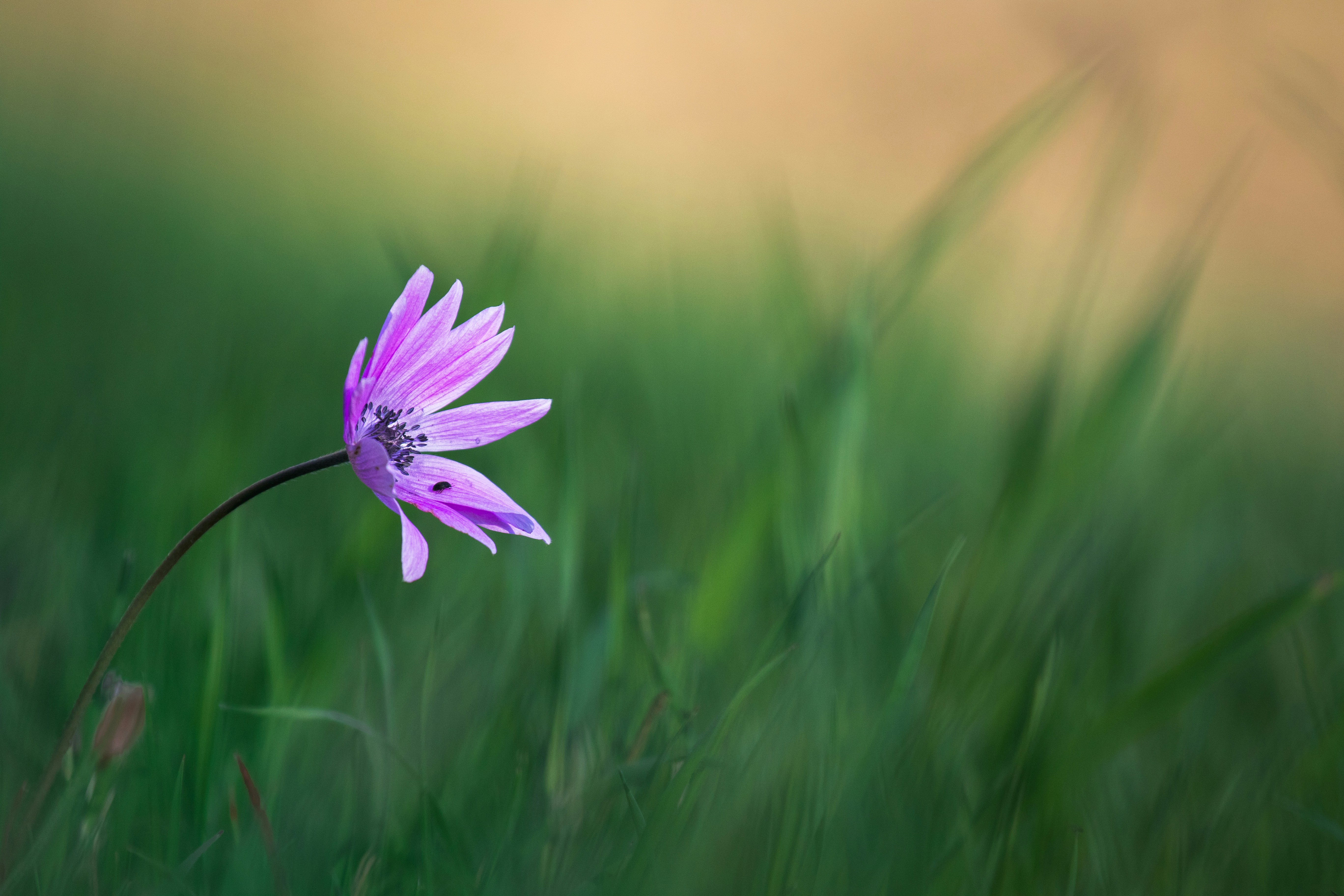 Photo by mattia_poli_04