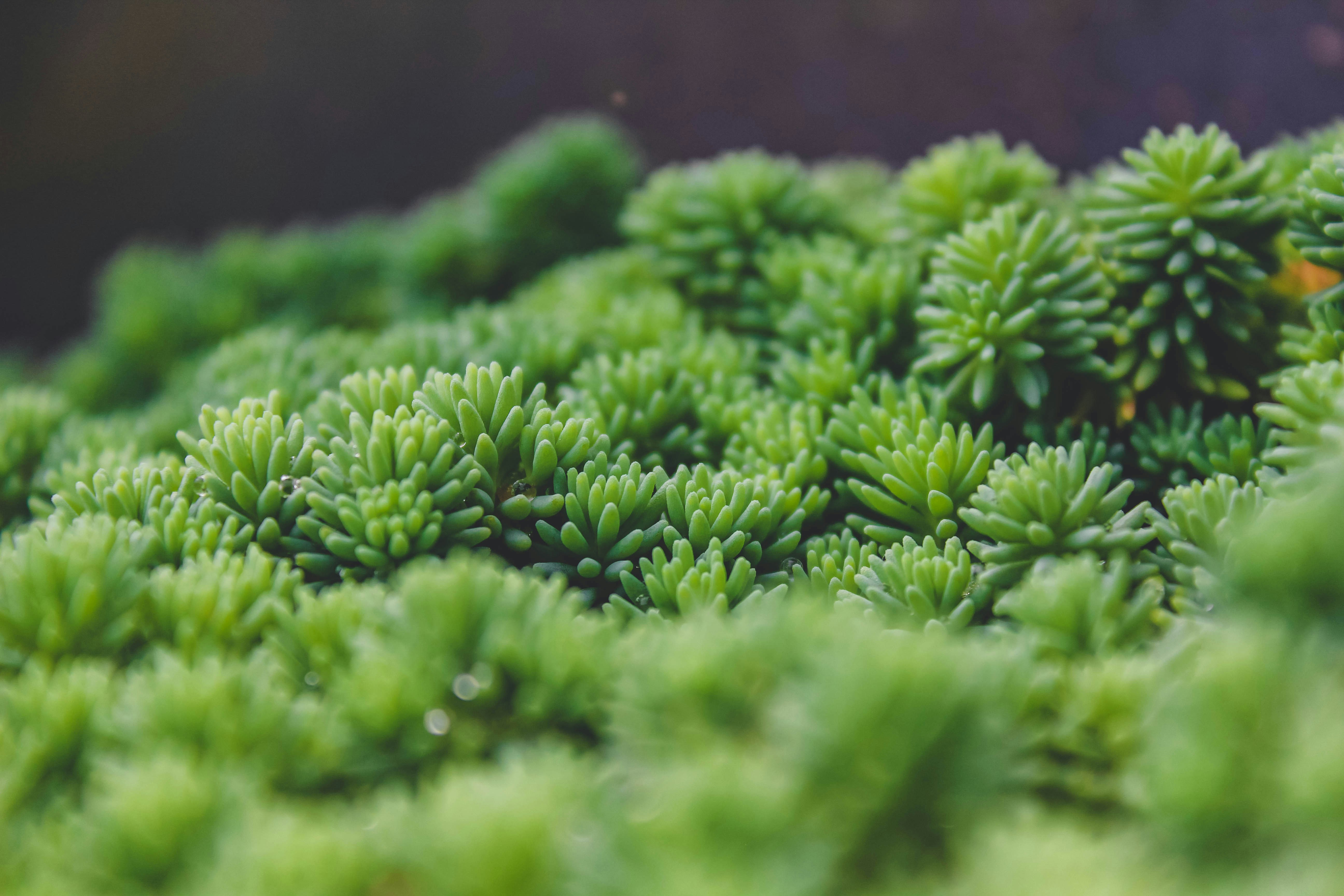 Photo by jerryneedscoffee