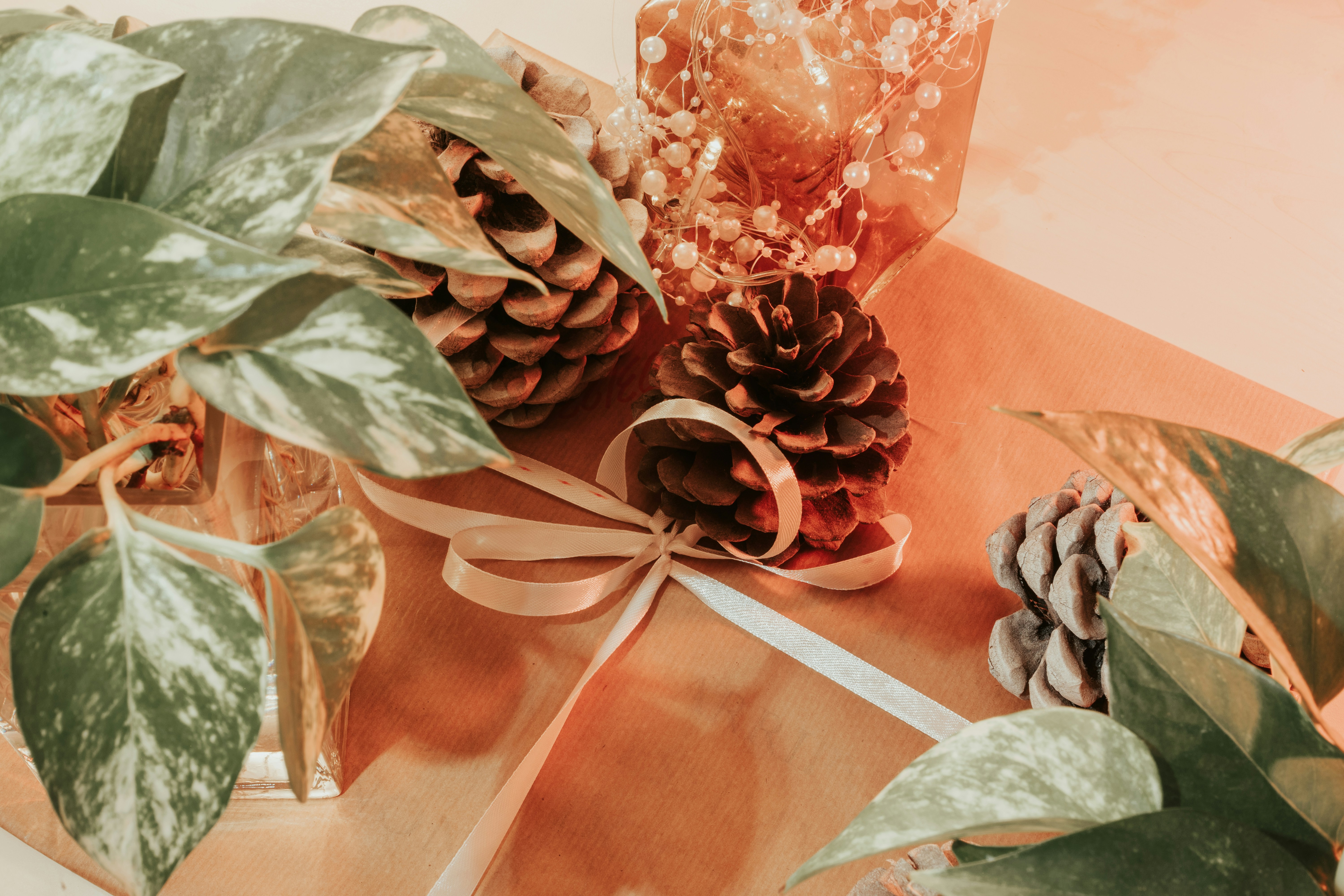 Photo by mariasolponce