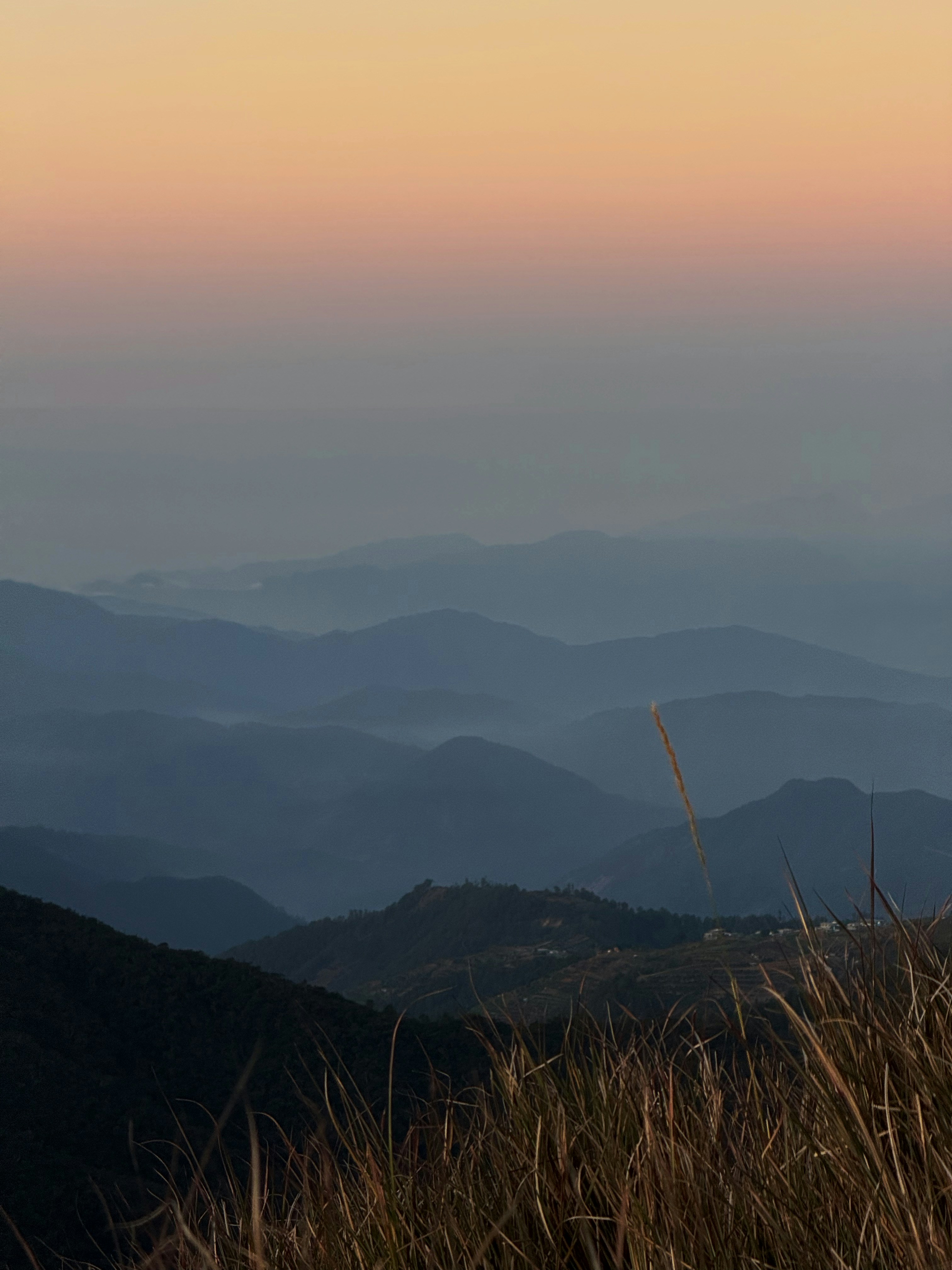 Photo by thewoodenrobot