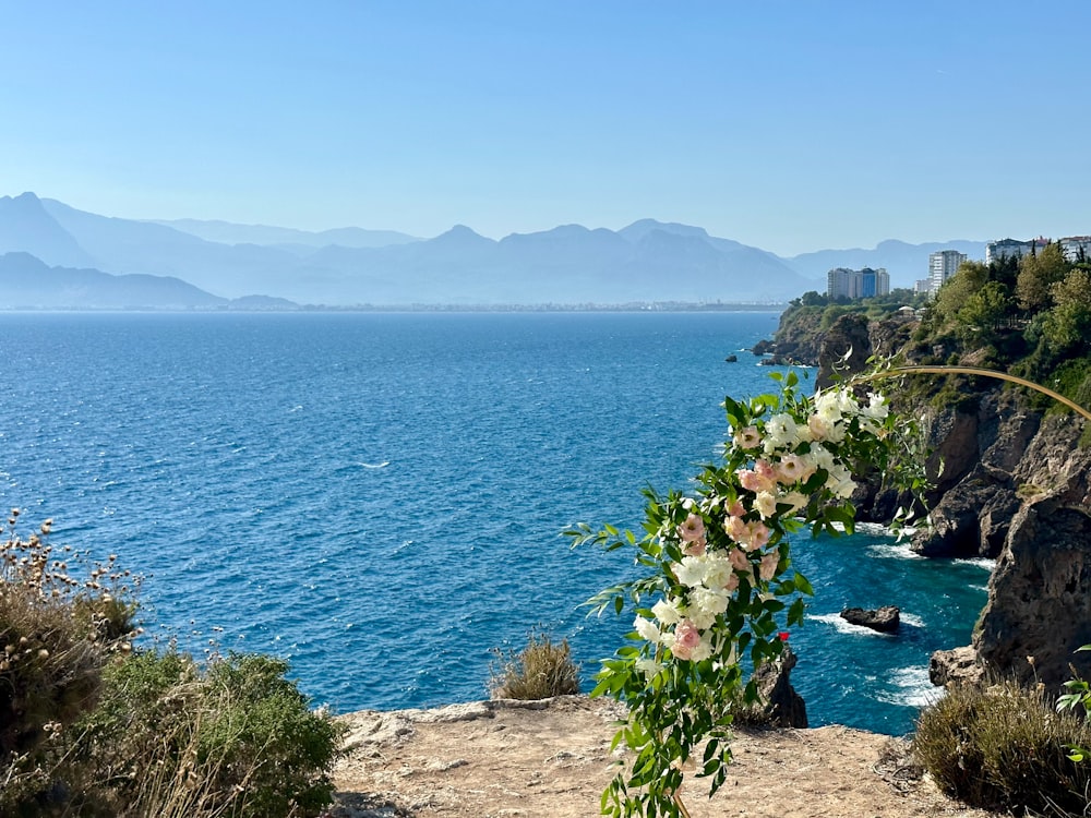 a view of the ocean from a cliff