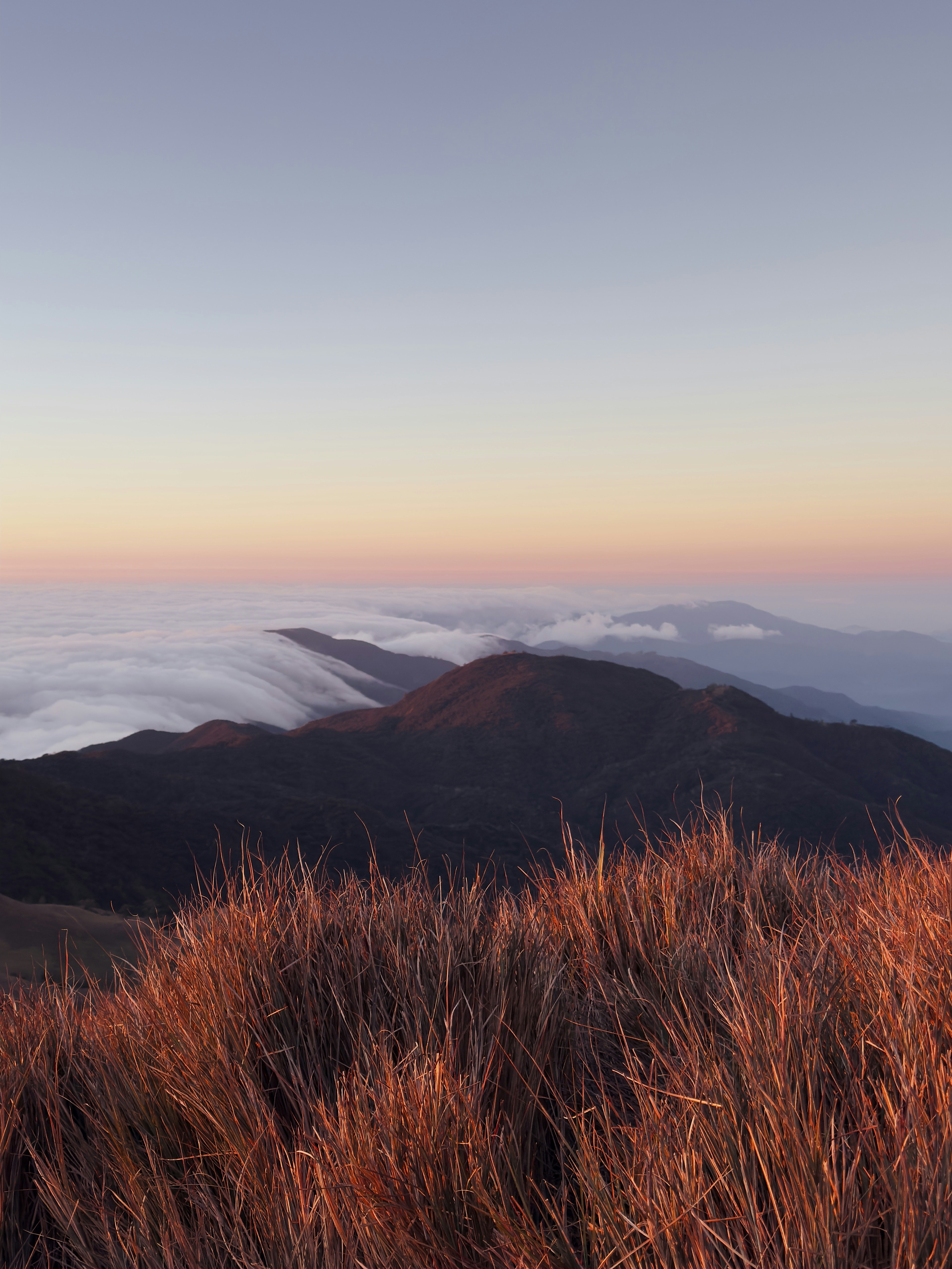 Photo by thewoodenrobot