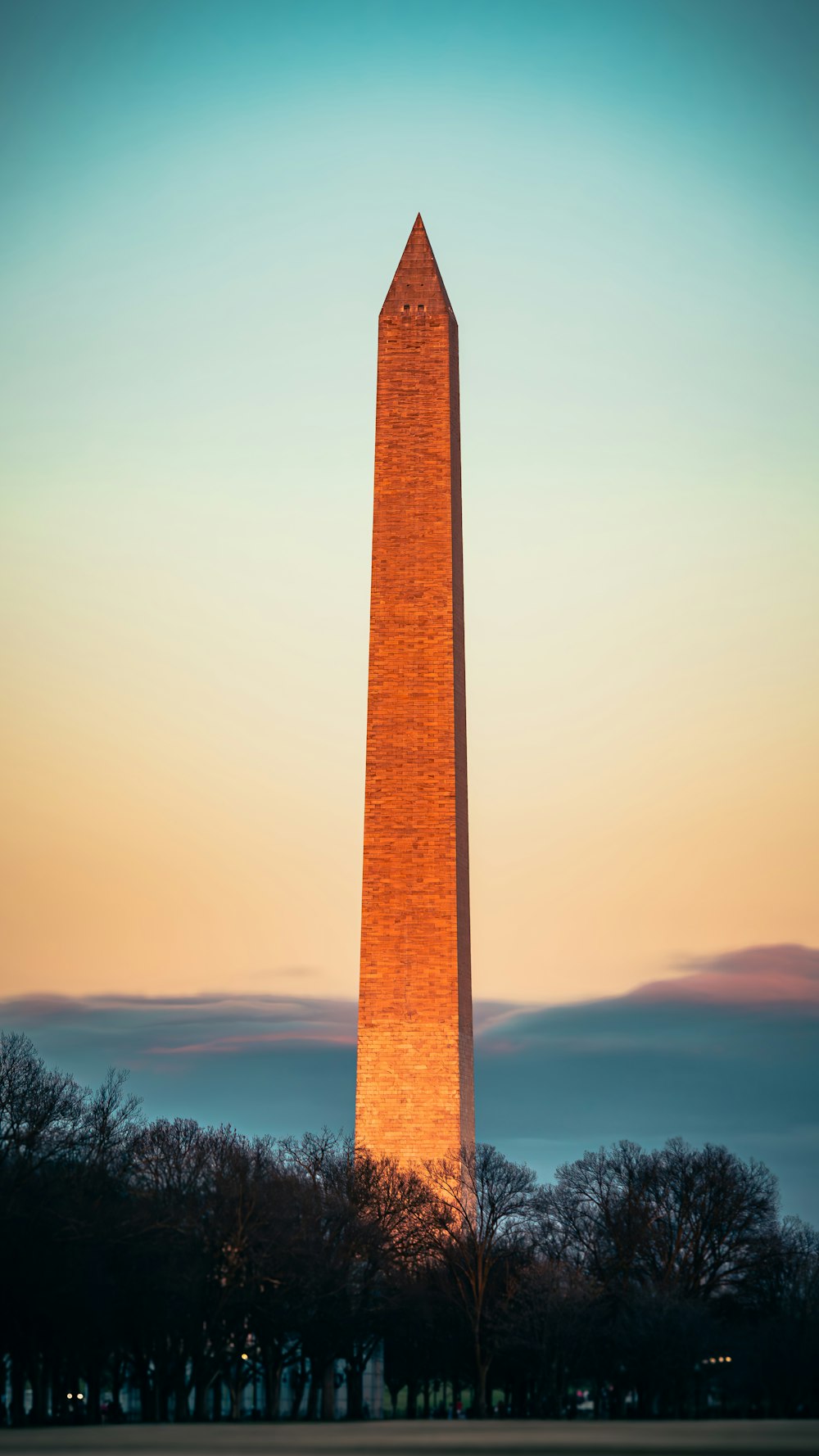 Das Washington Monument bei Sonnenuntergang mit Bäumen im Vordergrund