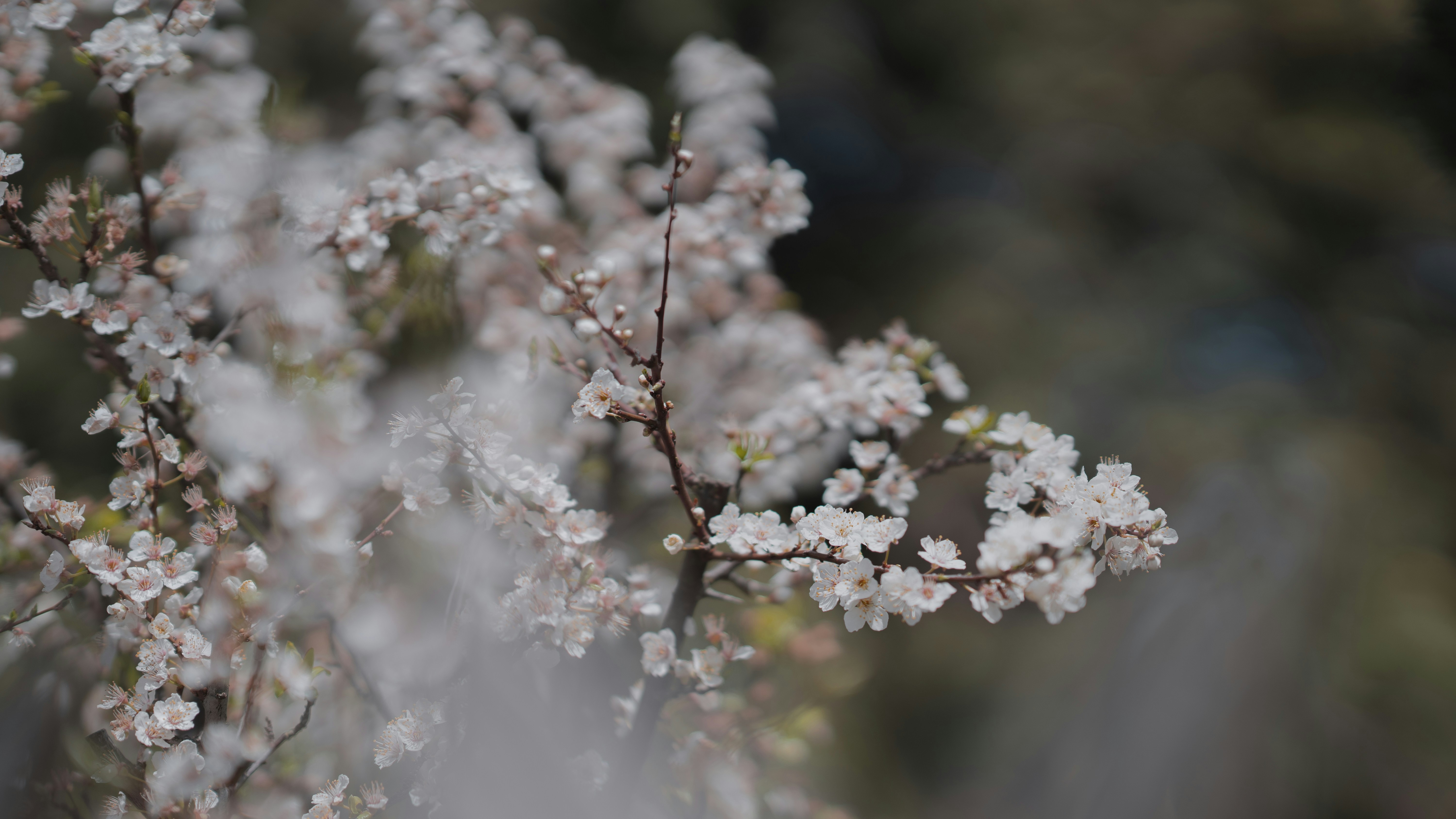 Photo by christelsphotos