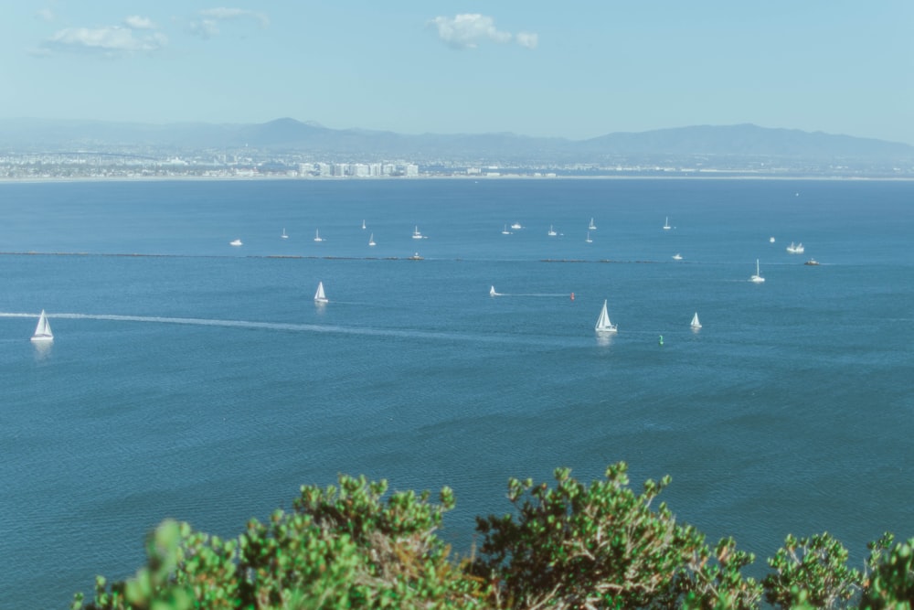 a large body of water filled with lots of boats