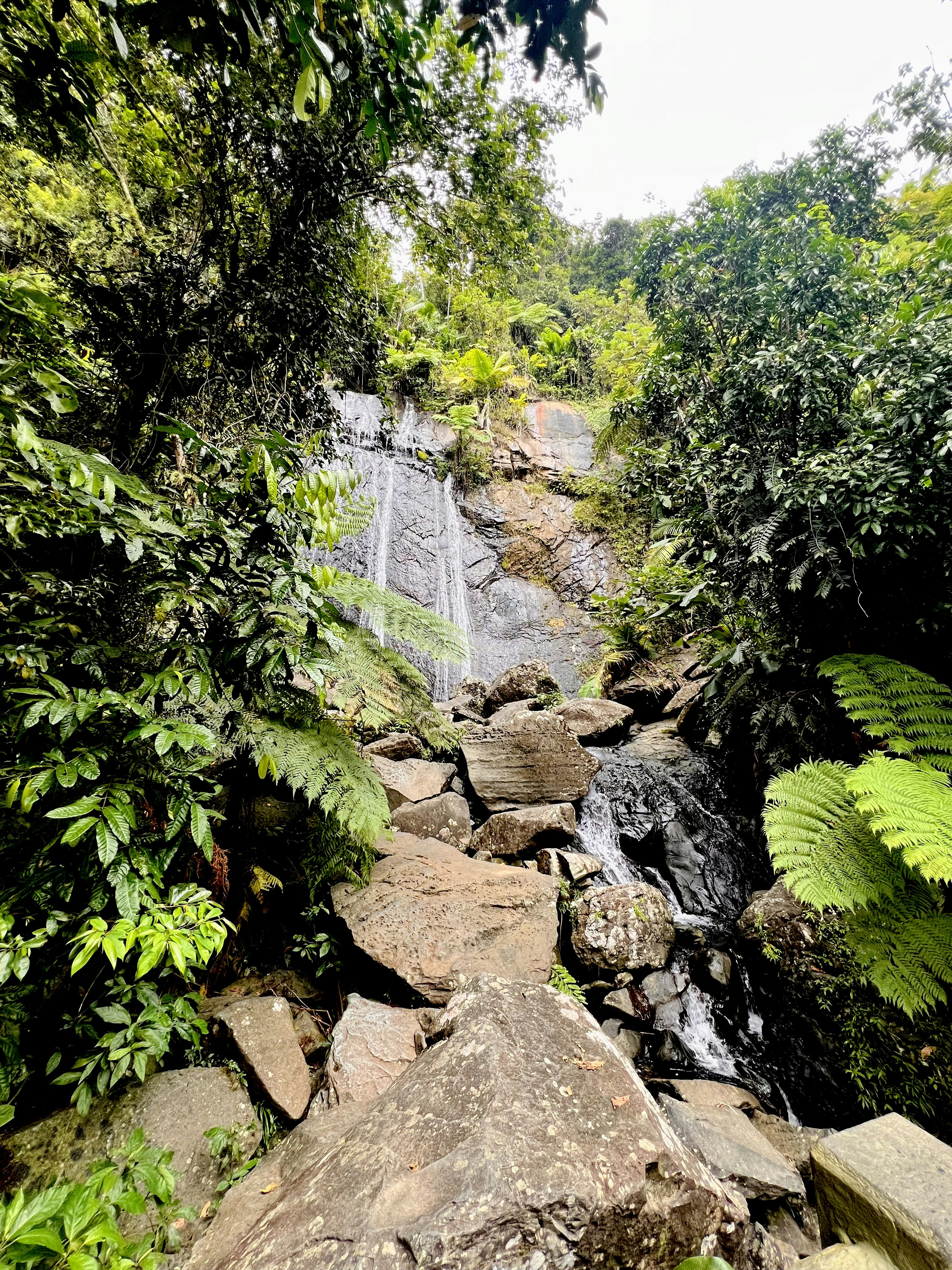 Photo by jackiedilorenzo