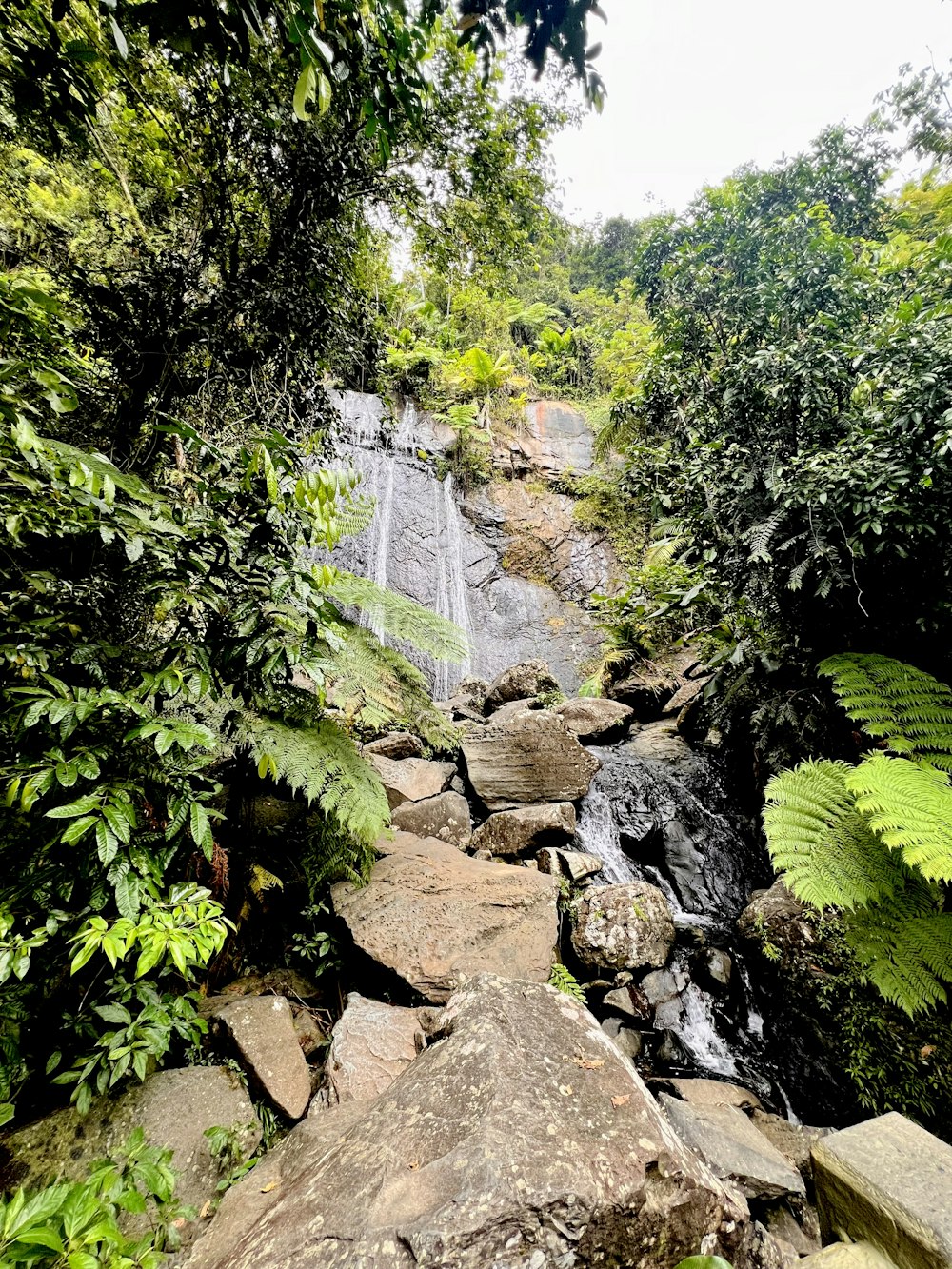 a small waterfall in the middle of a forest