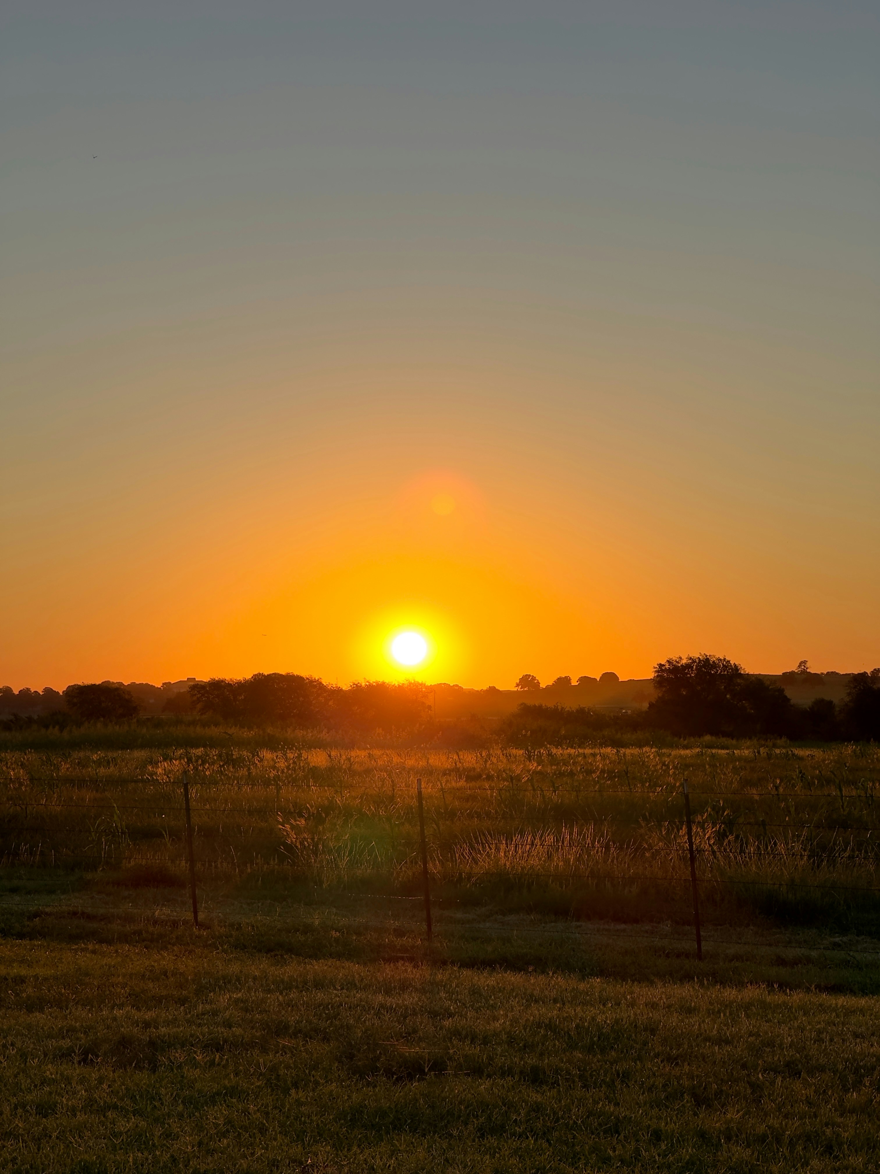 Photo by laelsotomayor