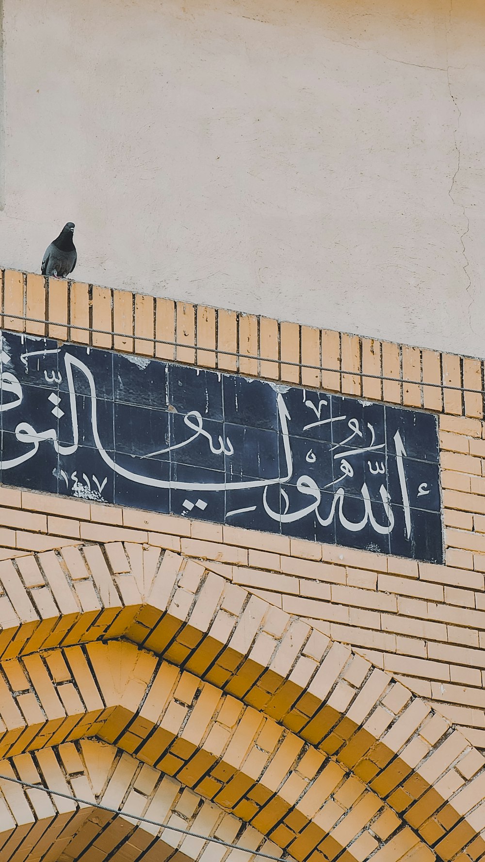 a black bird sitting on top of a brick wall