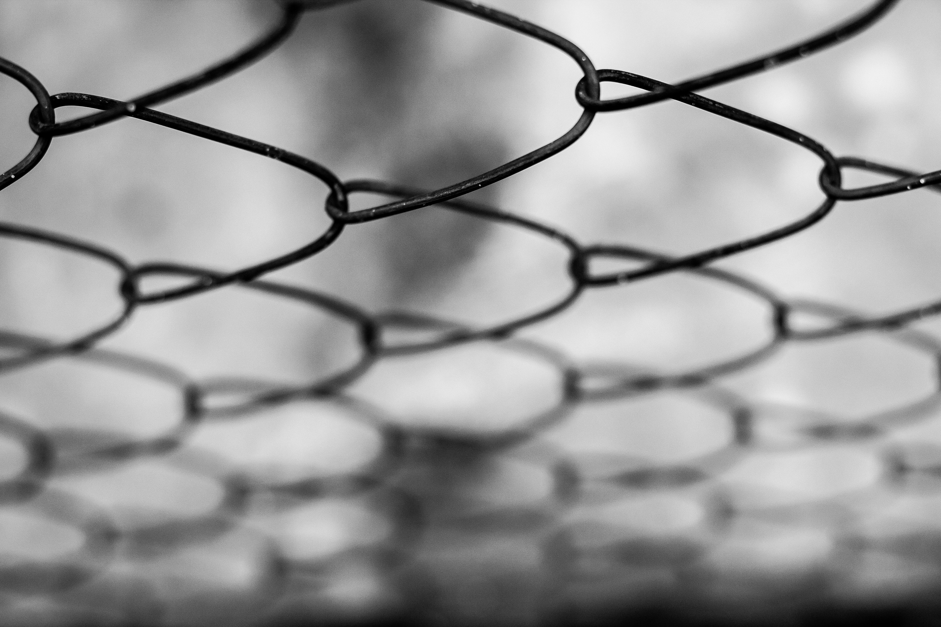 Photo by iphotocreative