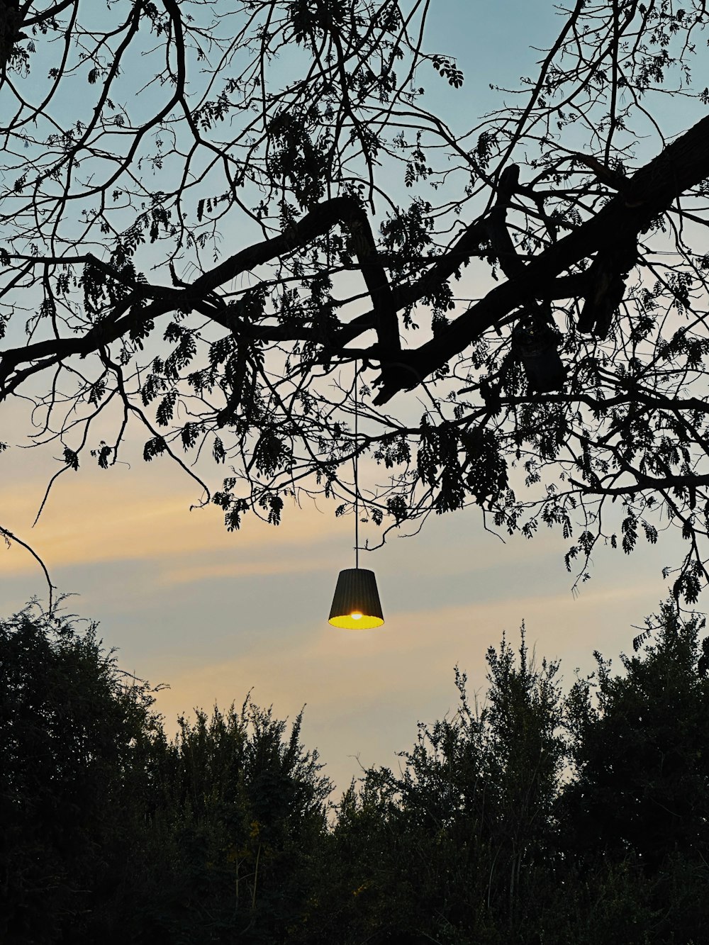 a yellow light hanging from a tree branch
