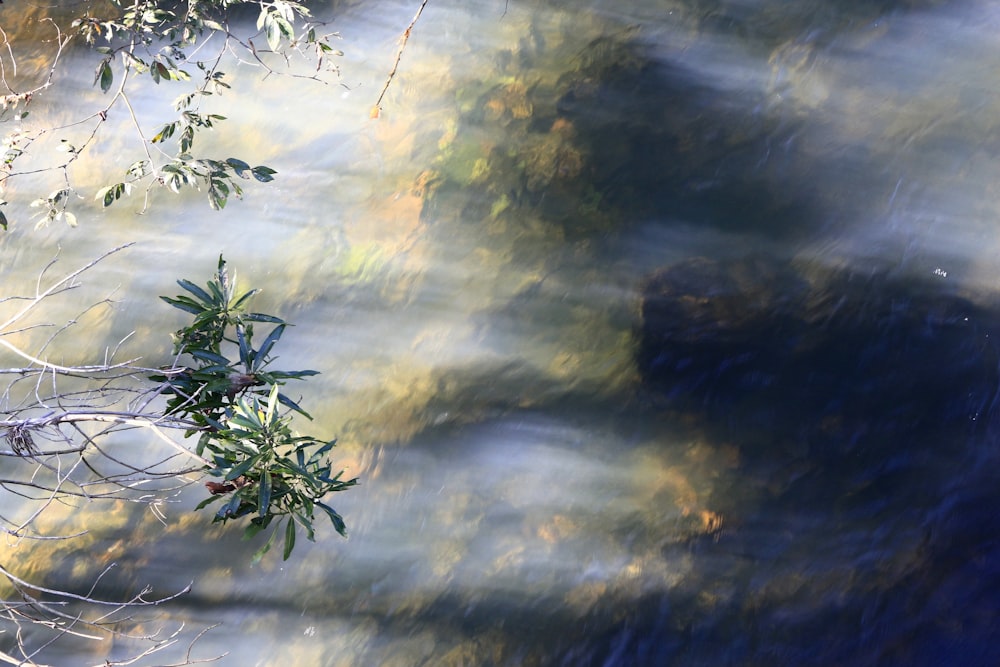 Das Wasser ist auf diesem Bild sehr klar und blau