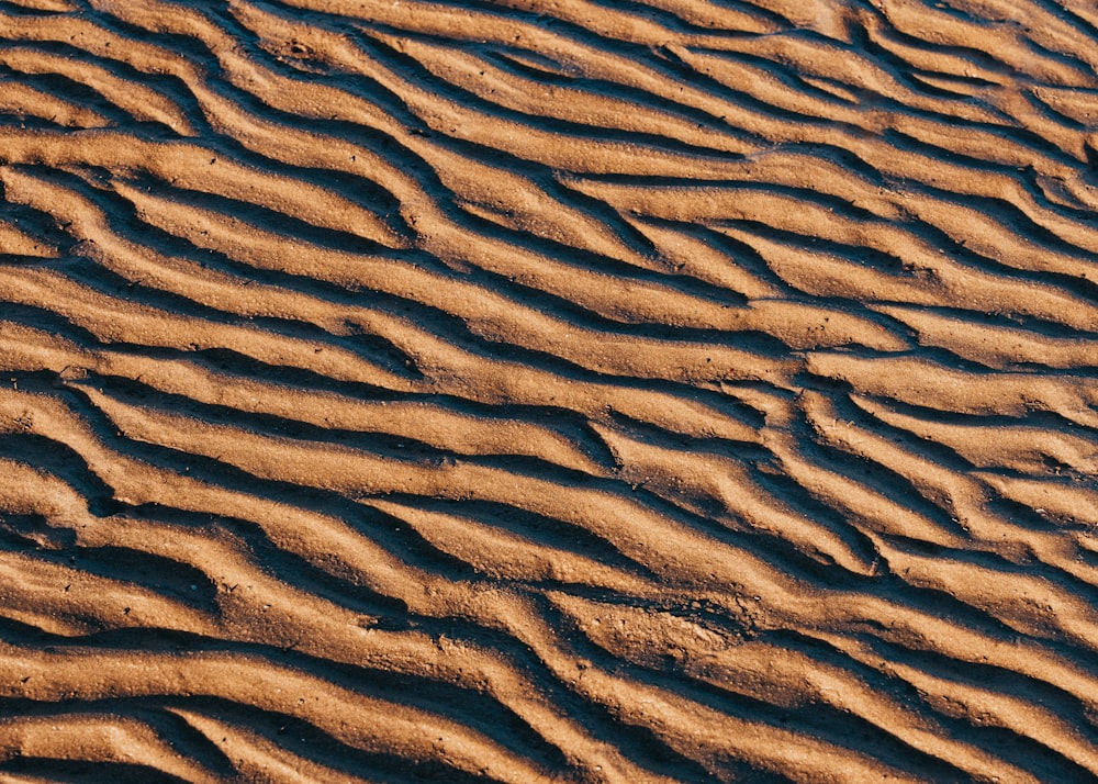 uma praia de areia com linhas onduladas na areia