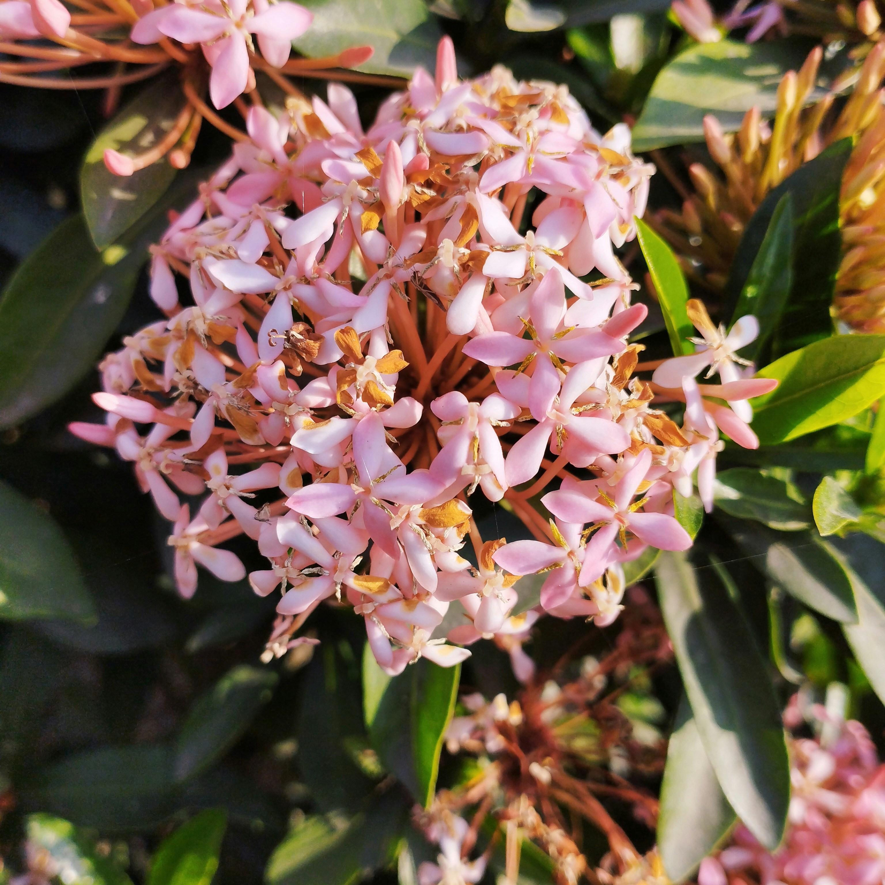 Photo by kabirul7250