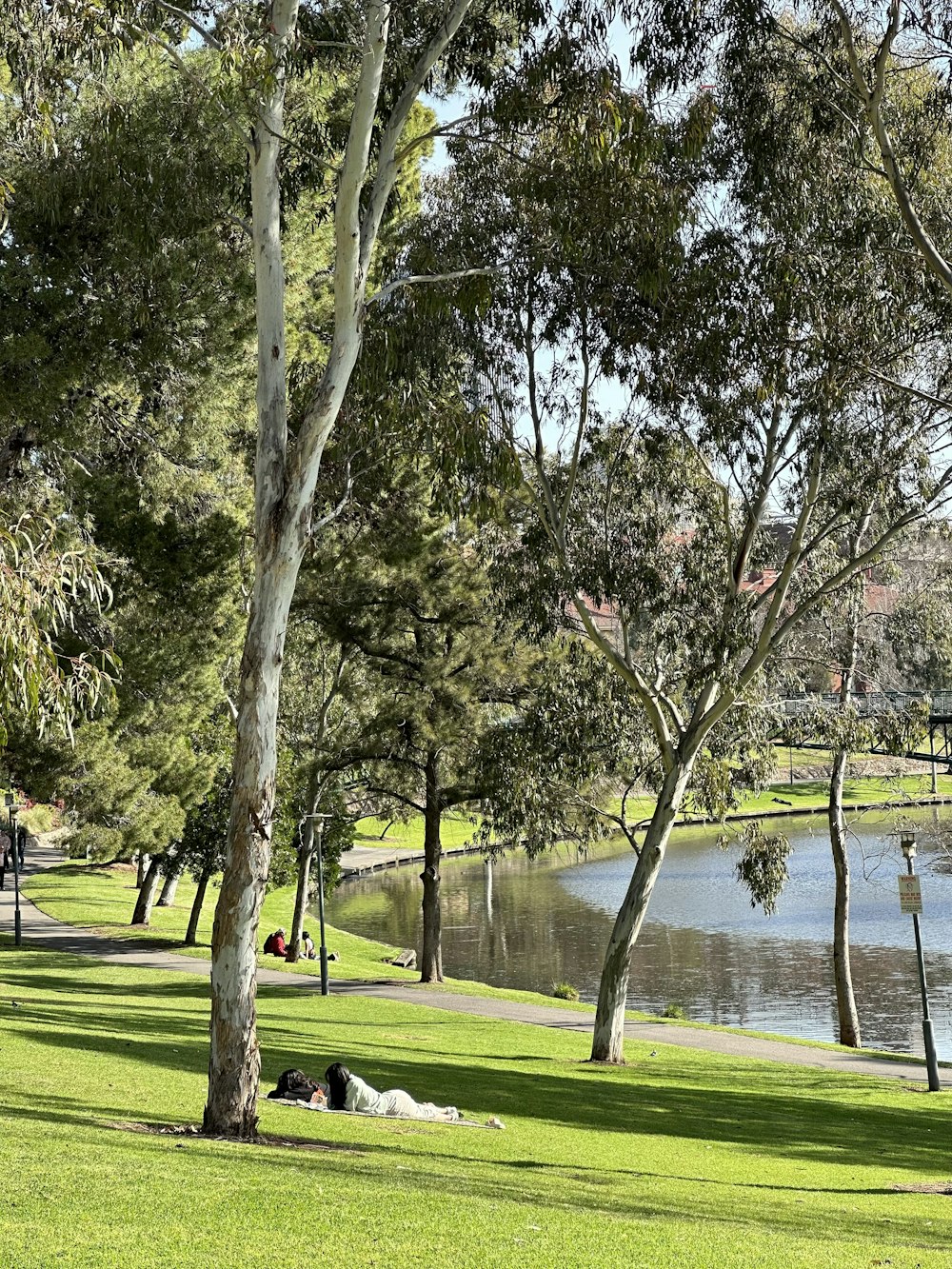 a park with trees and a lake in the background