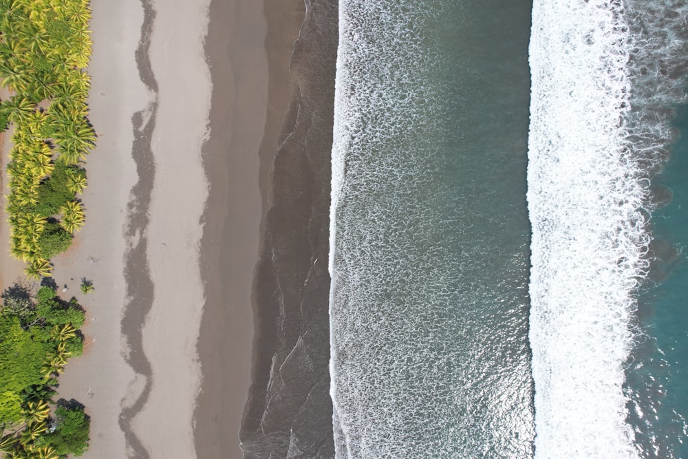 Una vista de pájaro de una playa y un océano