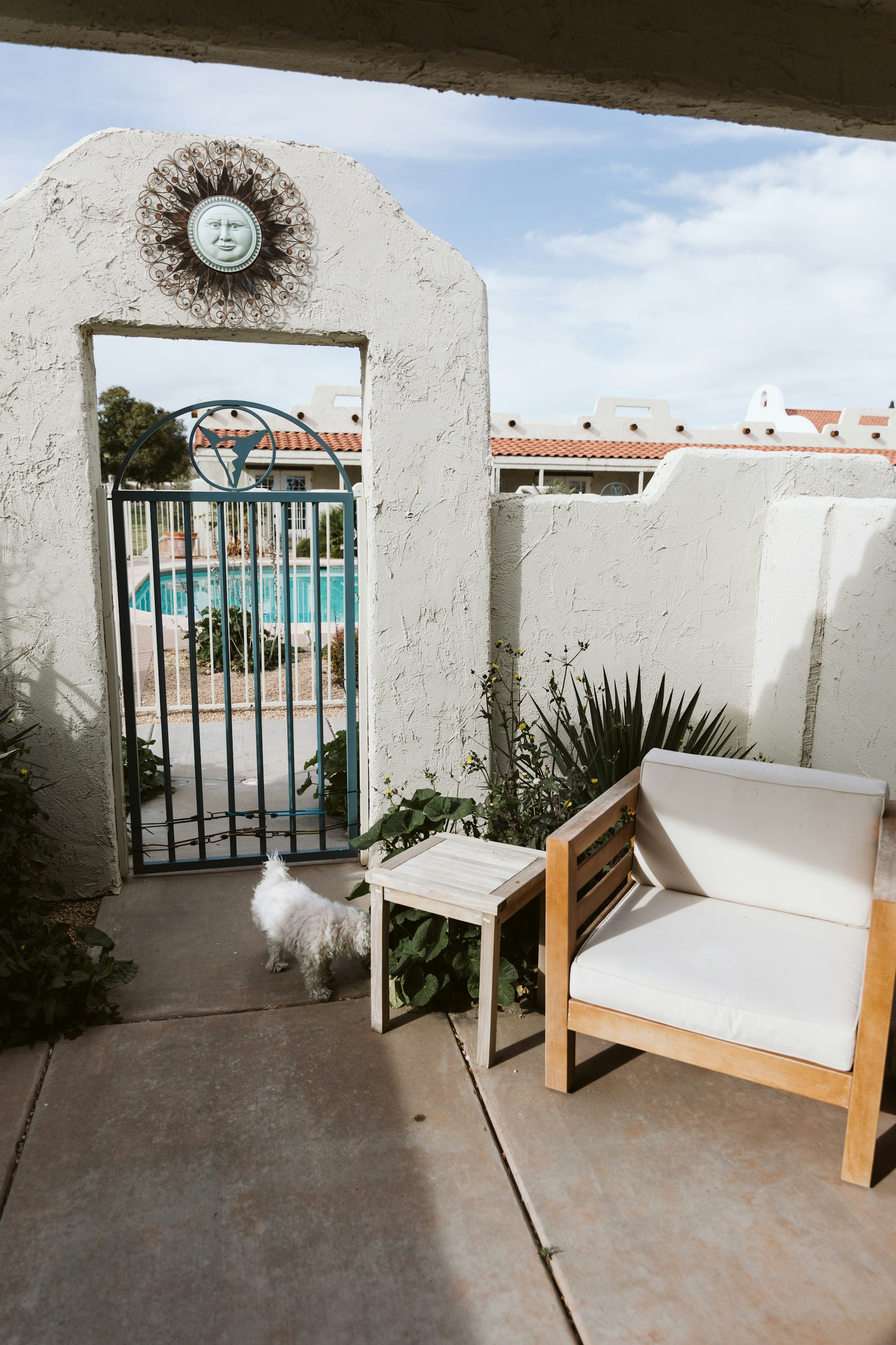 a small white dog standing in front of a gate