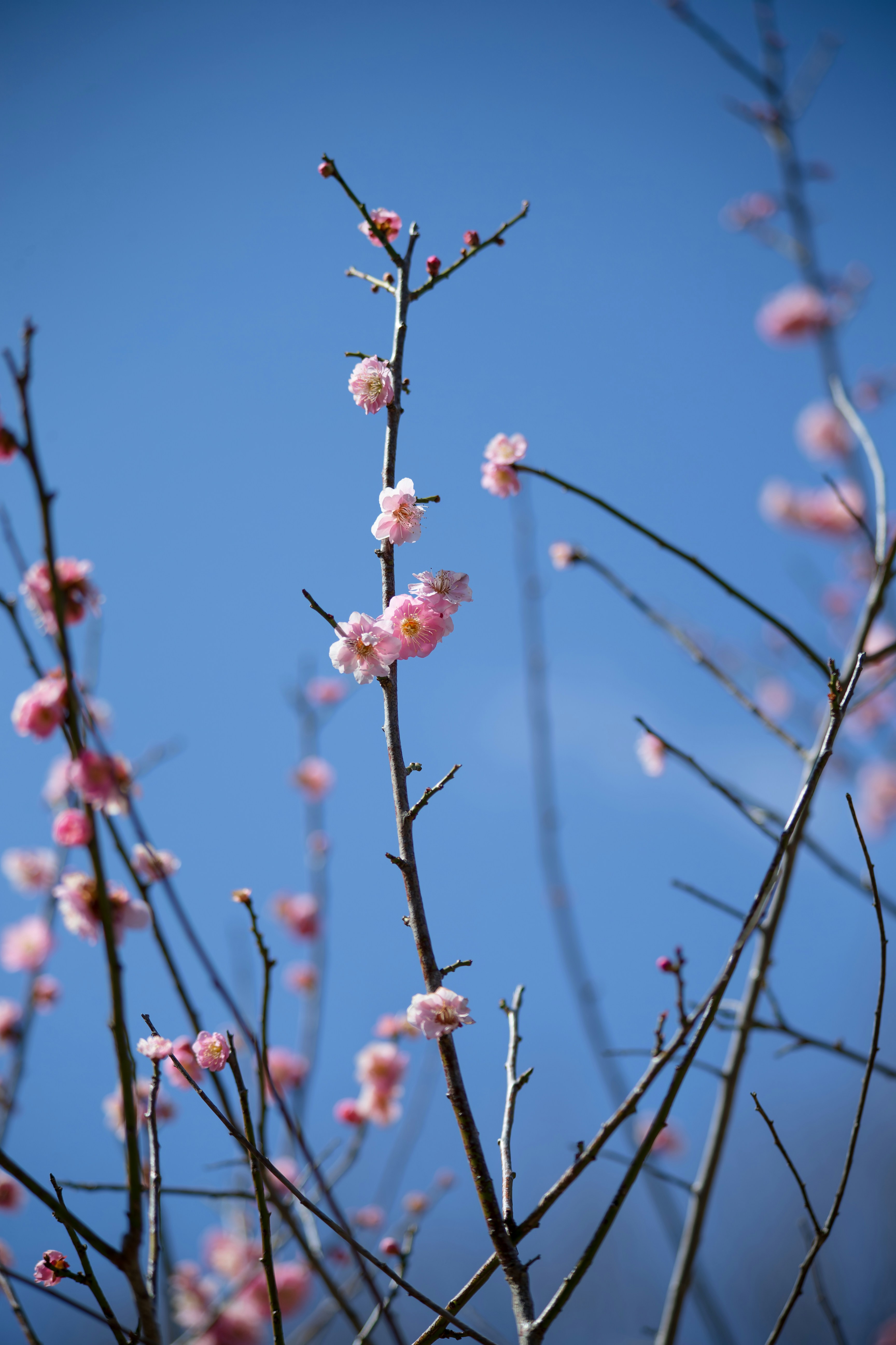 Photo by takatsuchida