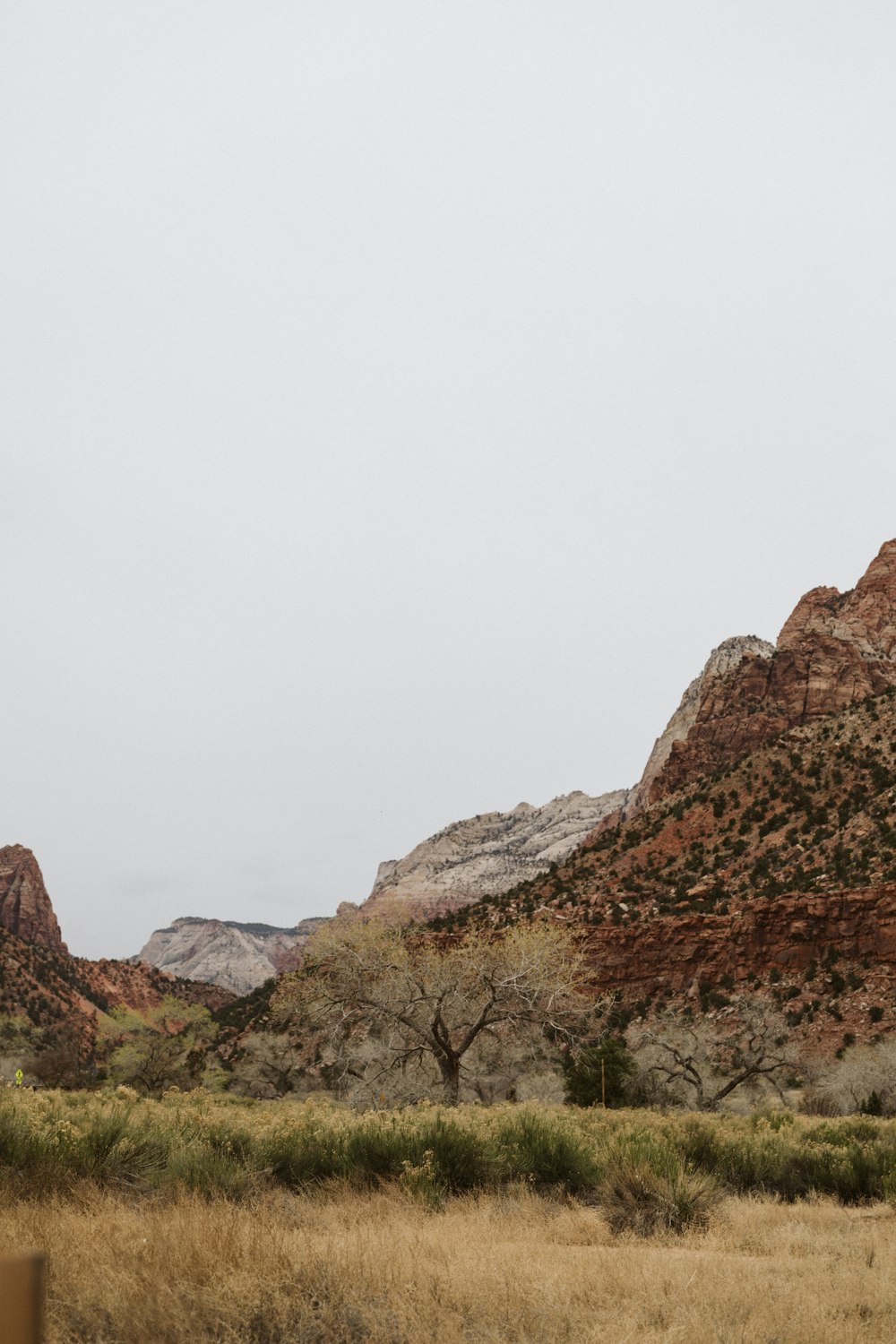 a horse standing in a field with mountains in the background