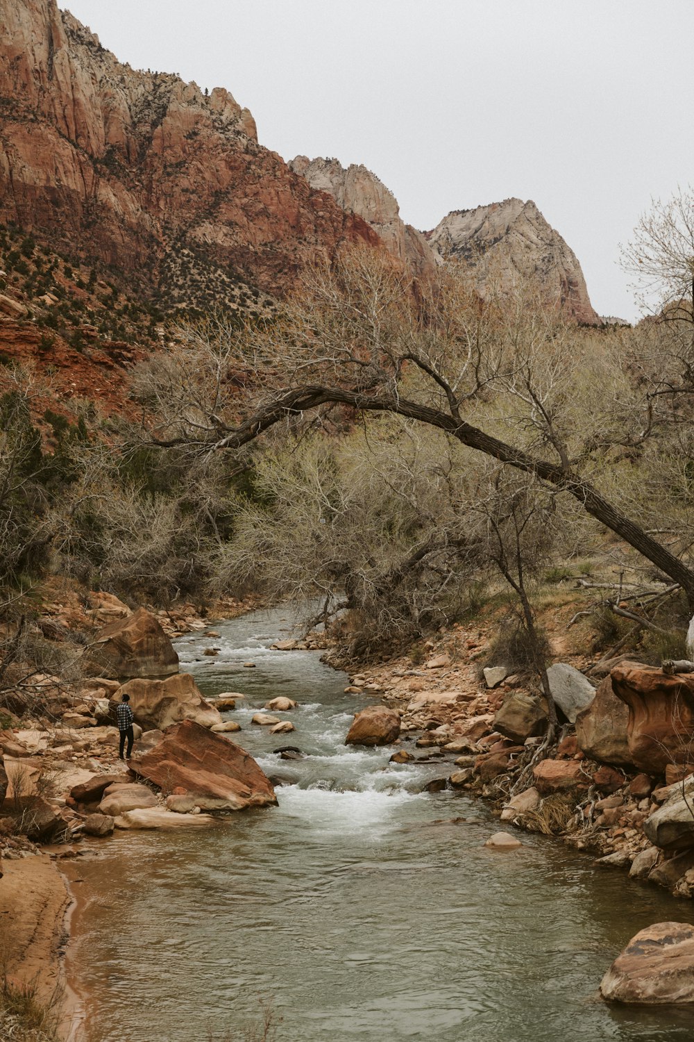 a man standing on a rock next to a river