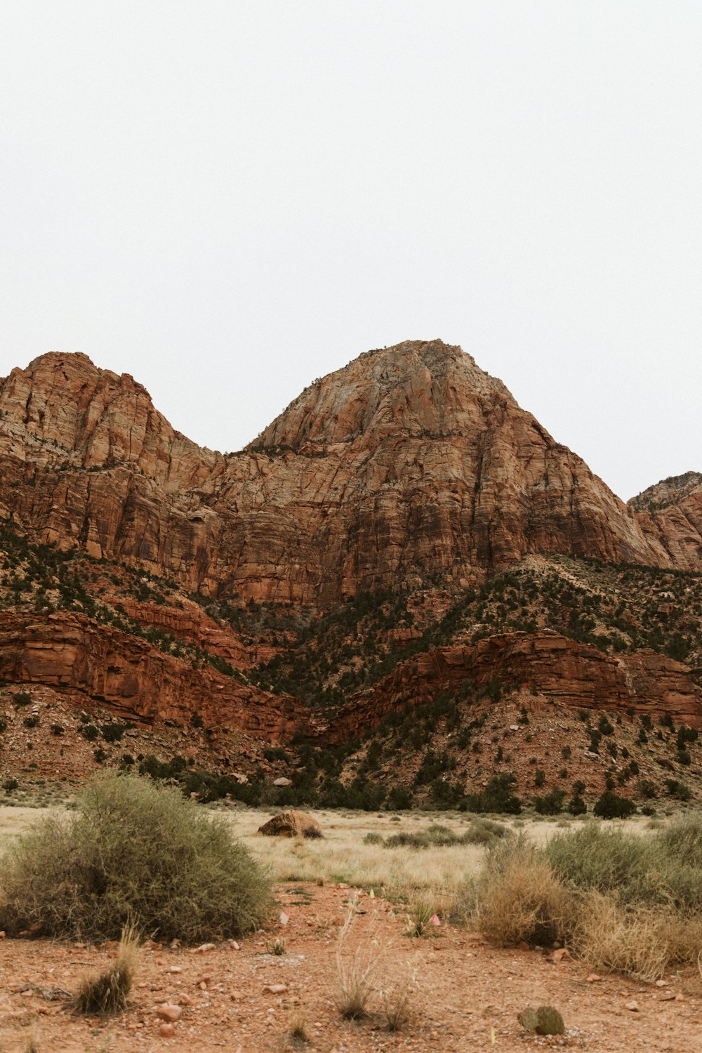 a mountain range with a few bushes in the foreground