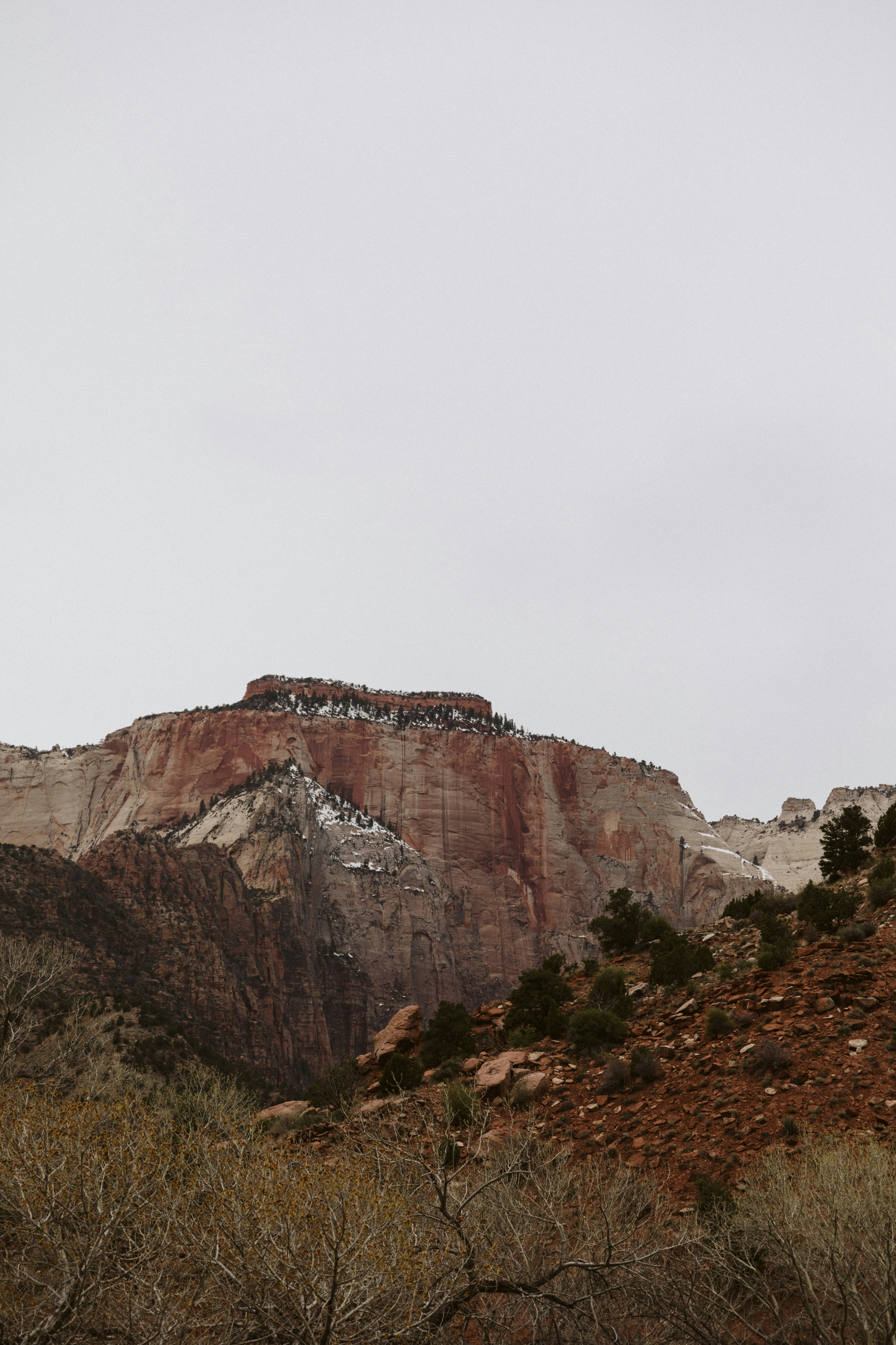 a very tall mountain with some trees on the side of it