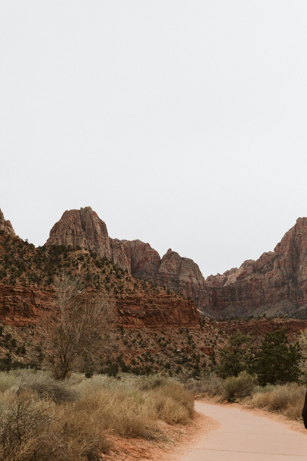 a man riding a horse down a dirt road