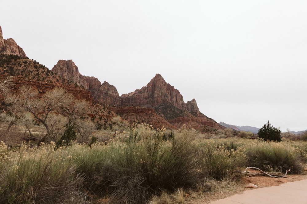 a dirt road in the middle of a mountain range