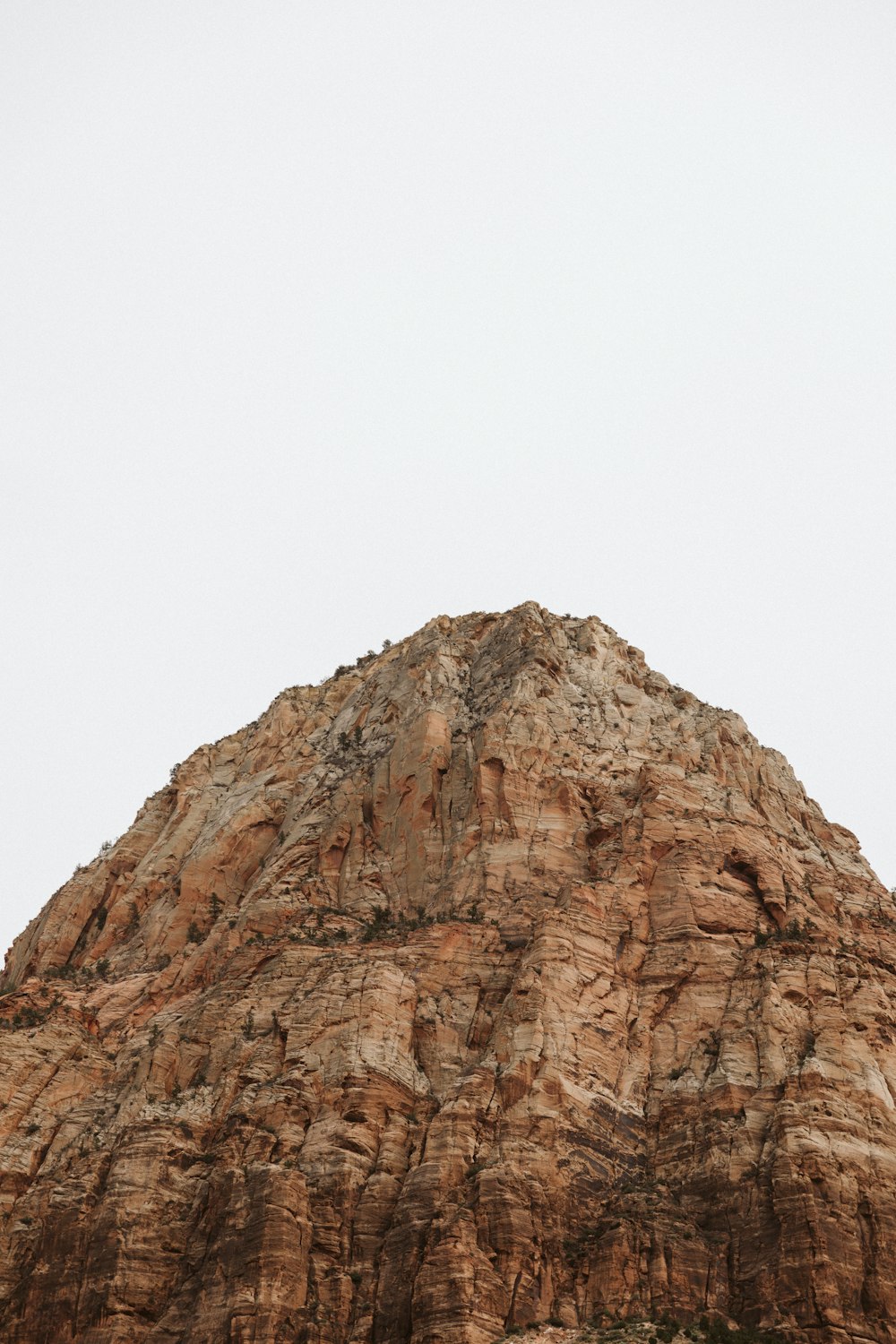 a large mountain with a bird perched on top of it