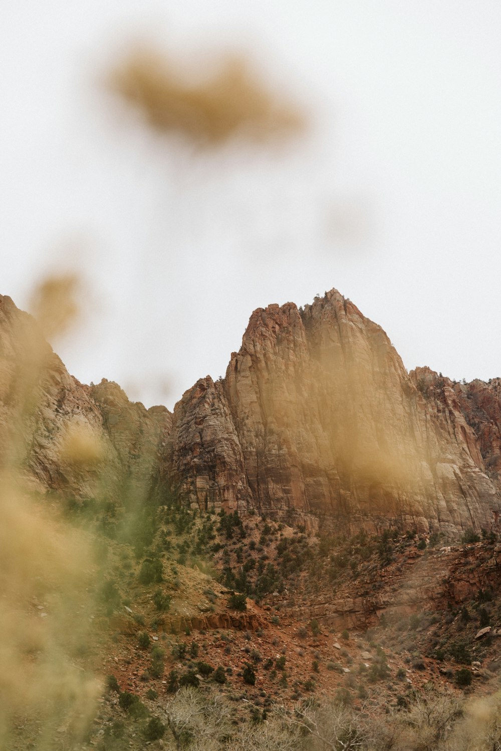 a bird is perched on top of a mountain