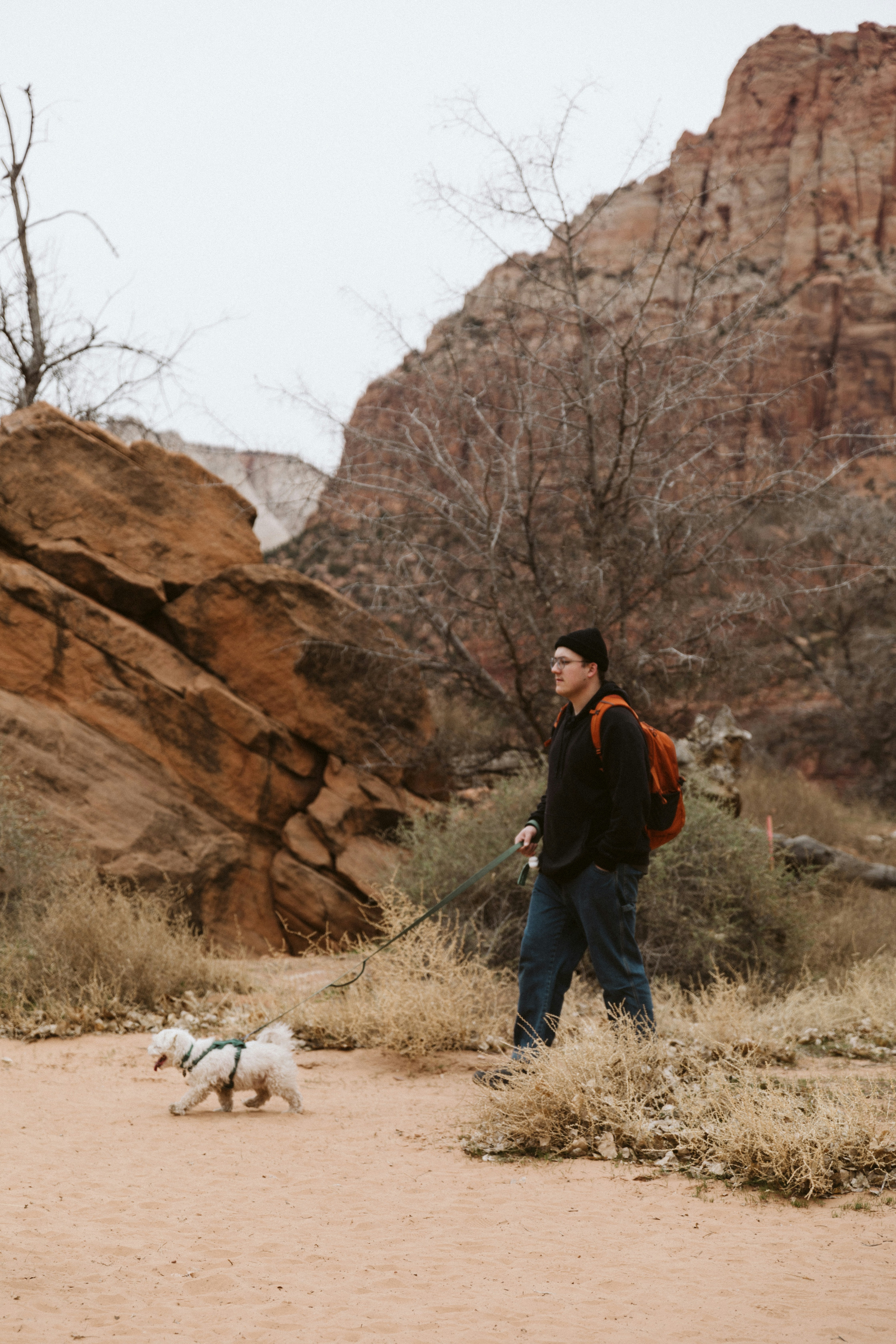 a man walking a dog in the desert