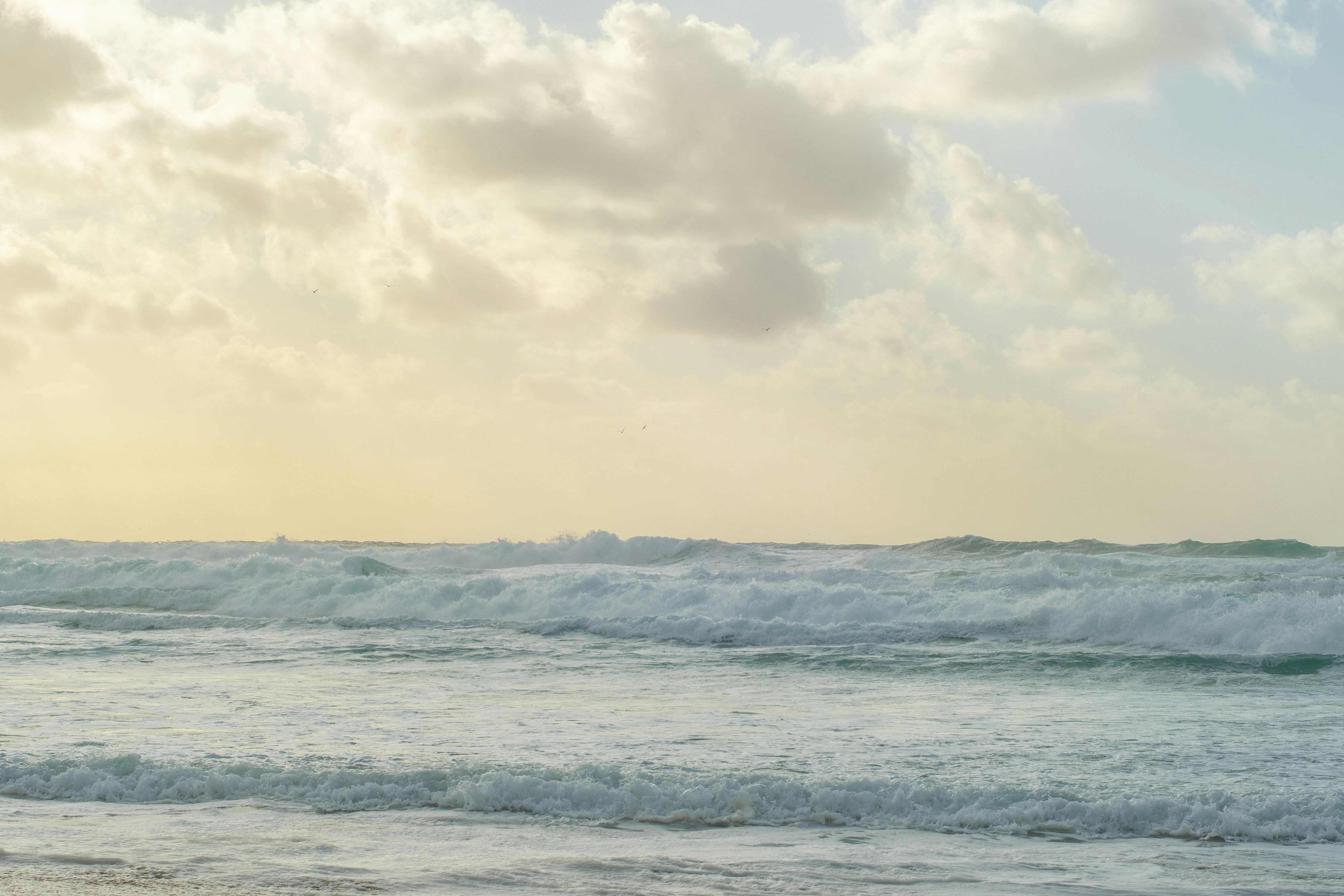 Photo by nataliaraylenegusakova