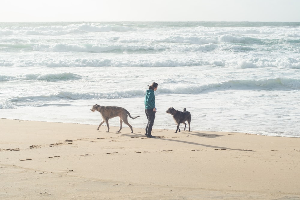 a woman walking two dogs on a beach
