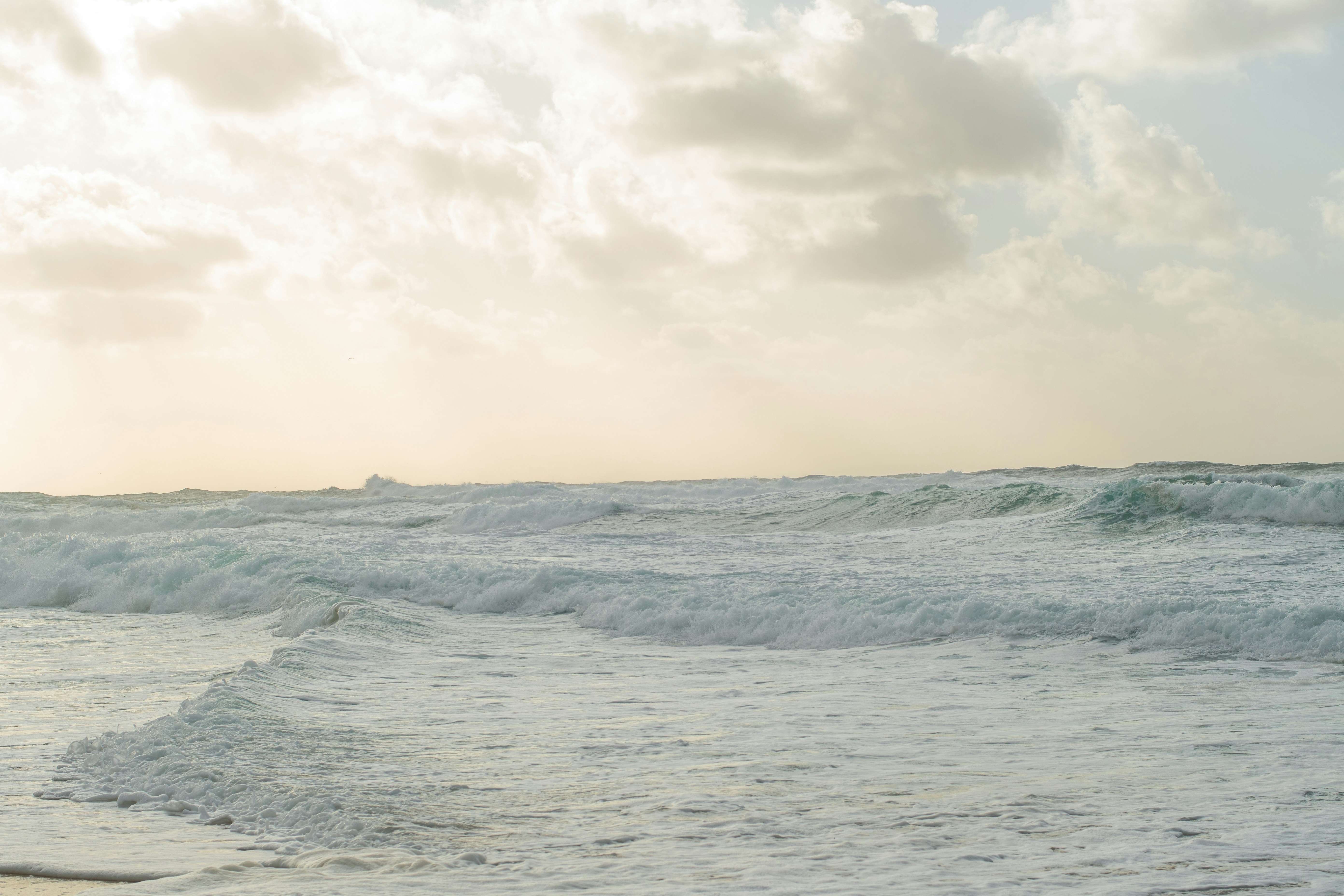 Photo by nataliaraylenegusakova