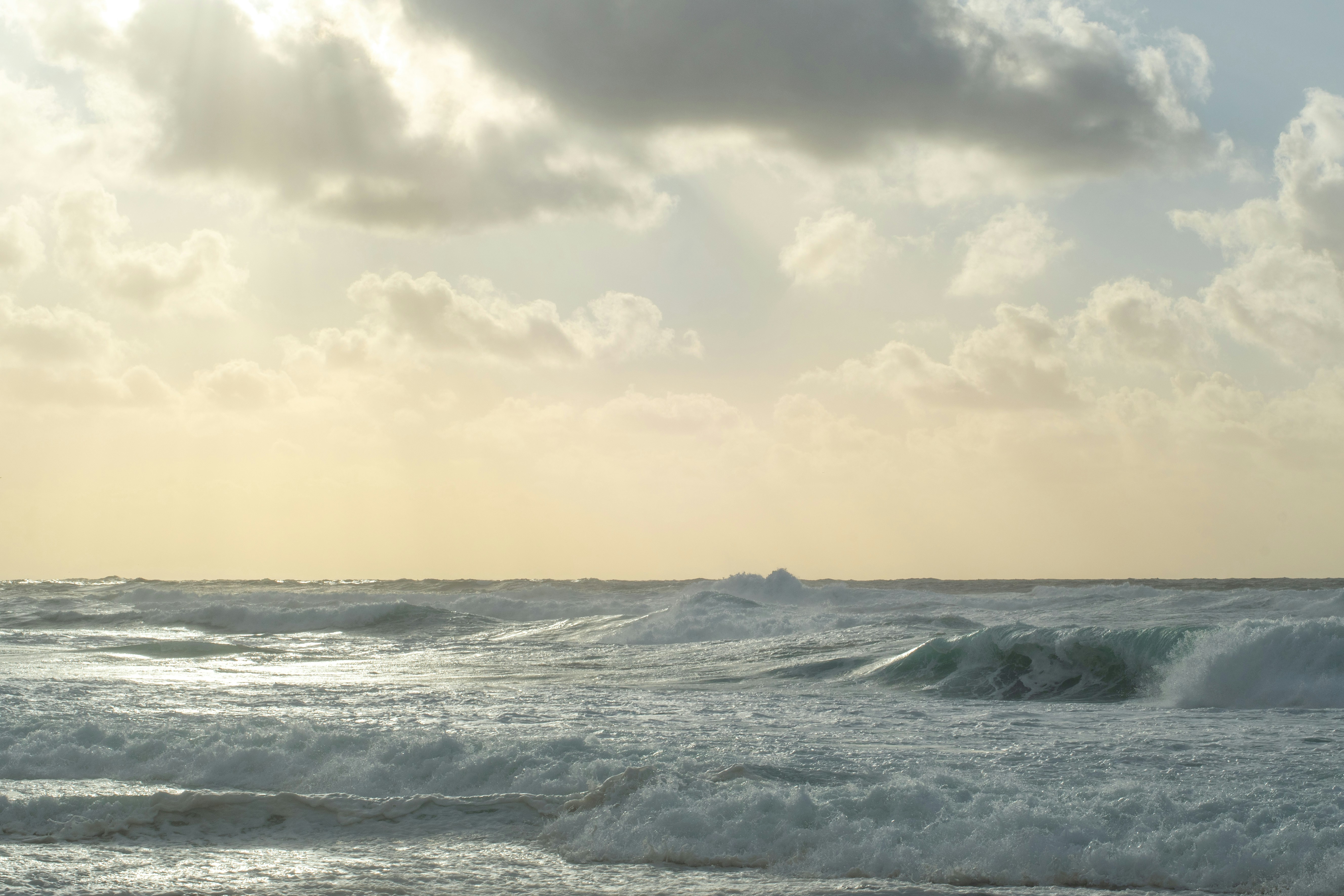 Photo by nataliaraylenegusakova