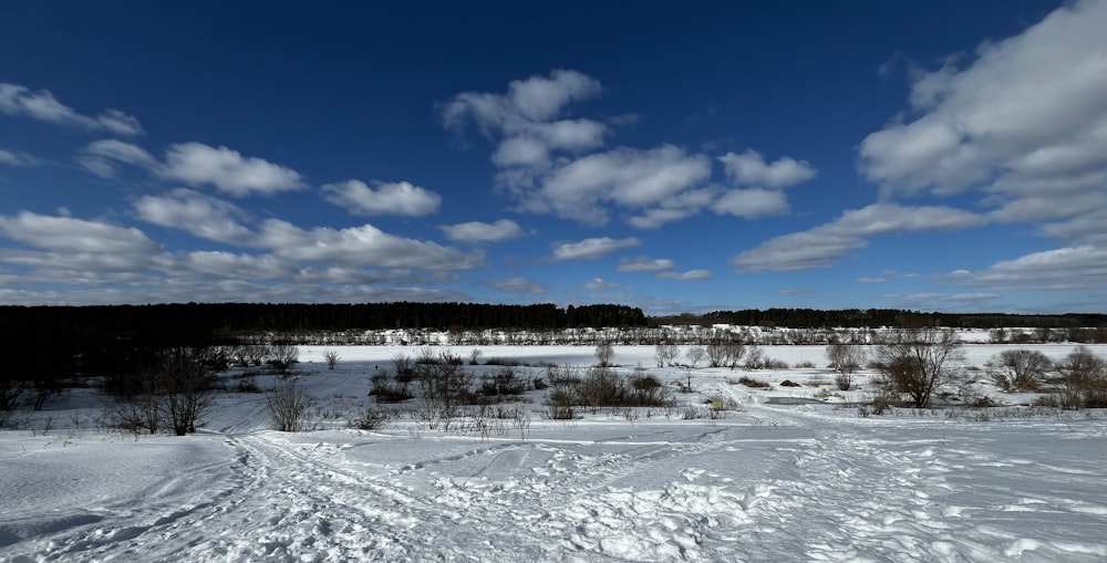 a snow covered field with trees and clouds in the background