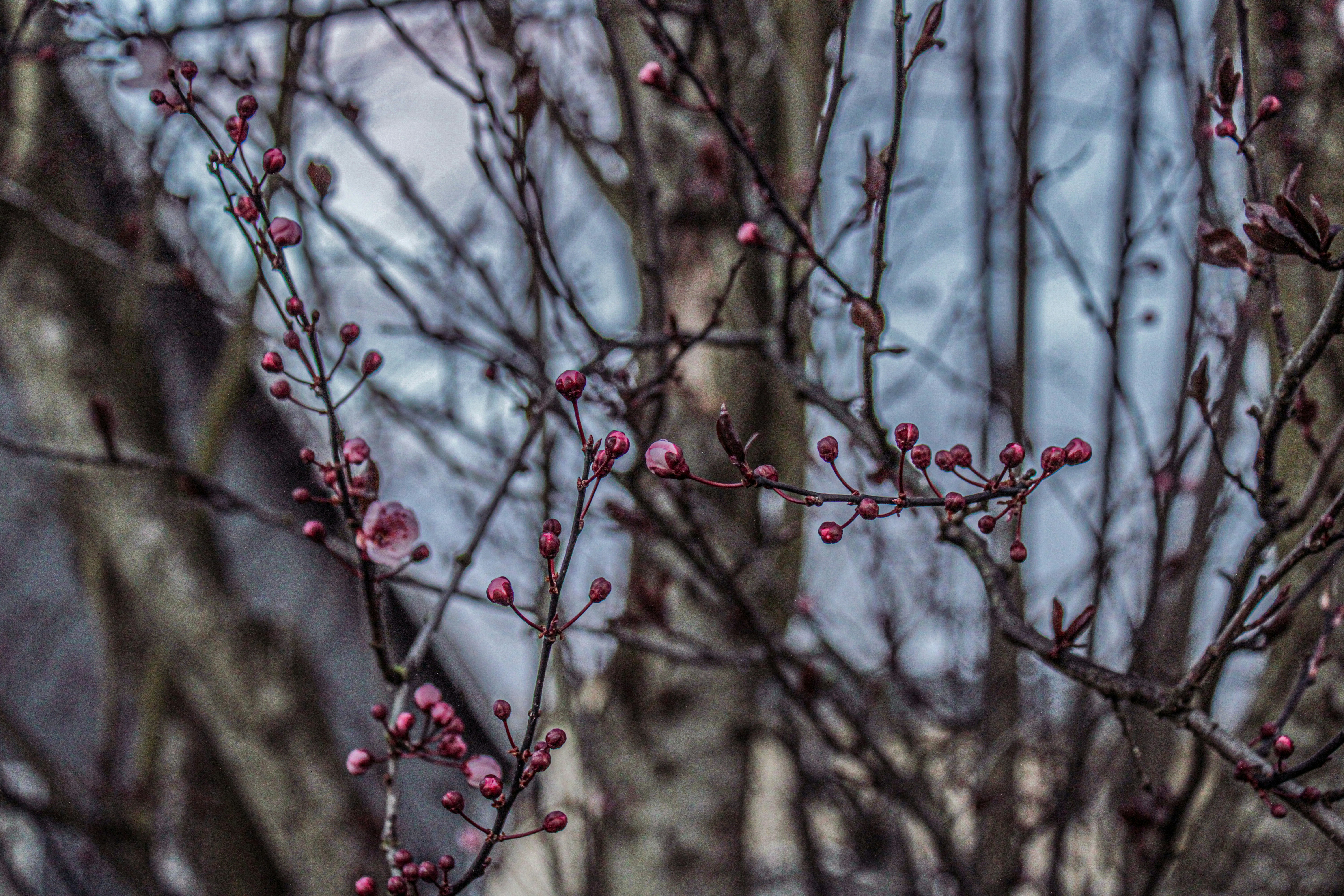 Photo by prphotography262