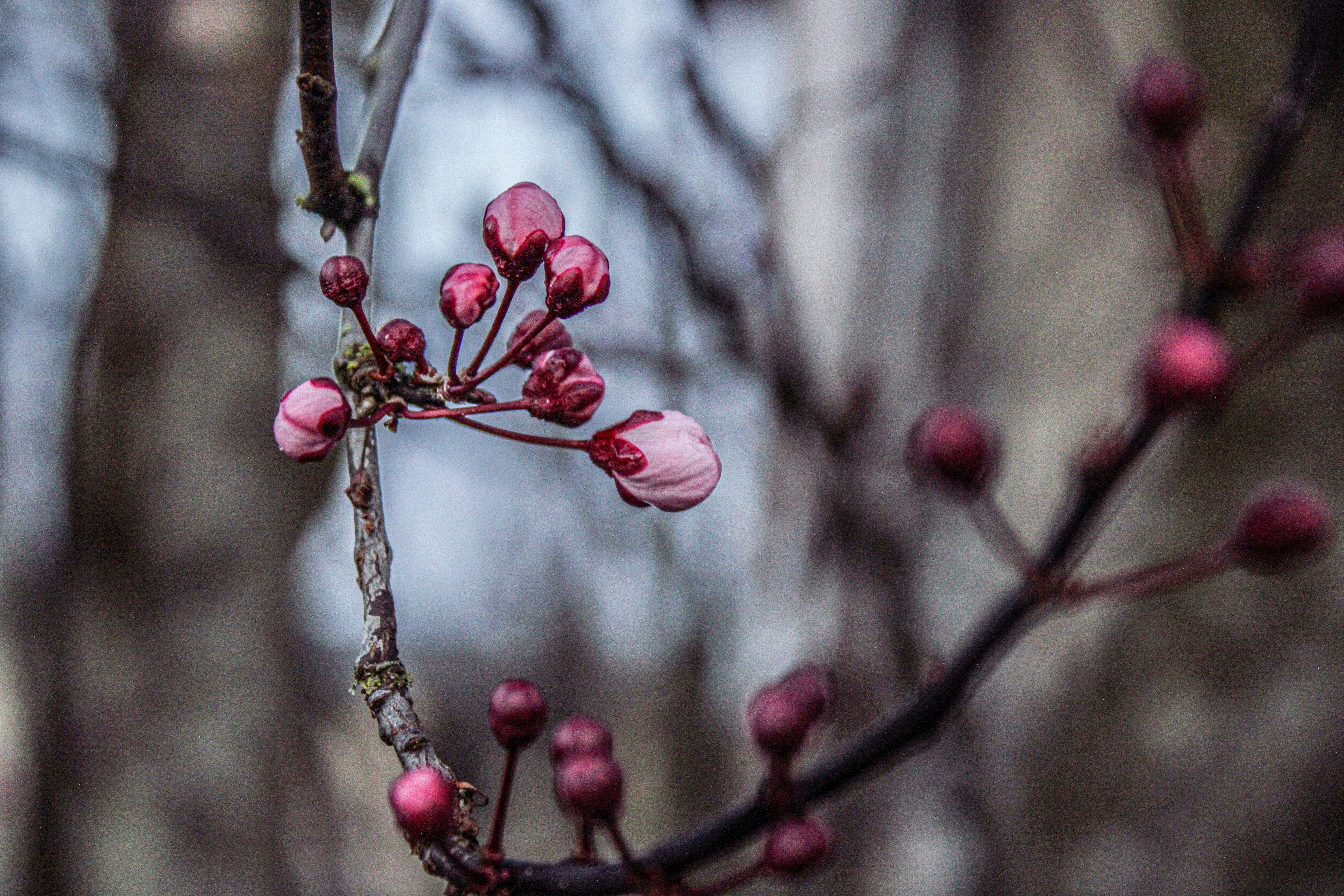 Photo by prphotography262