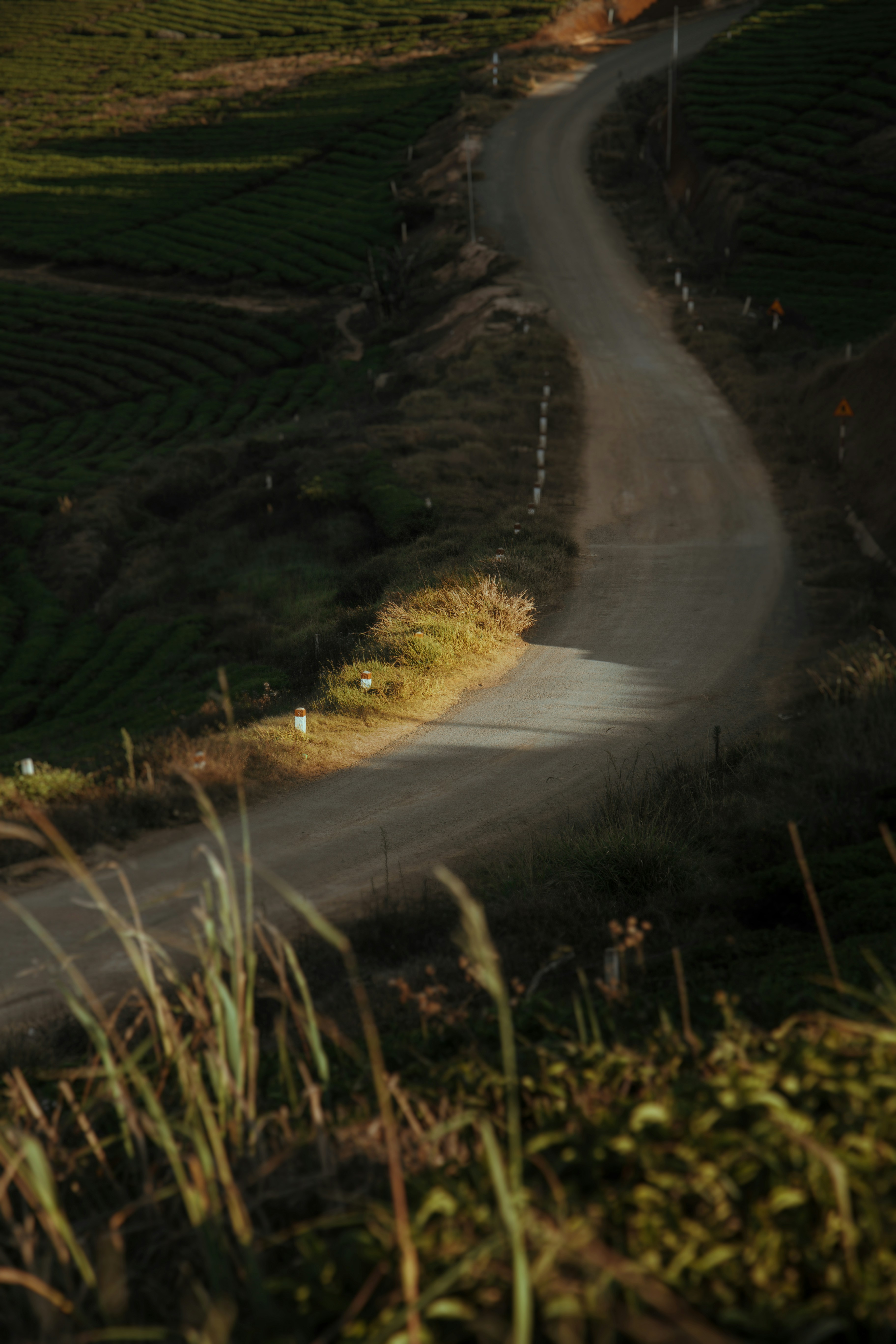 una persona montando en bicicleta por un camino de tierra