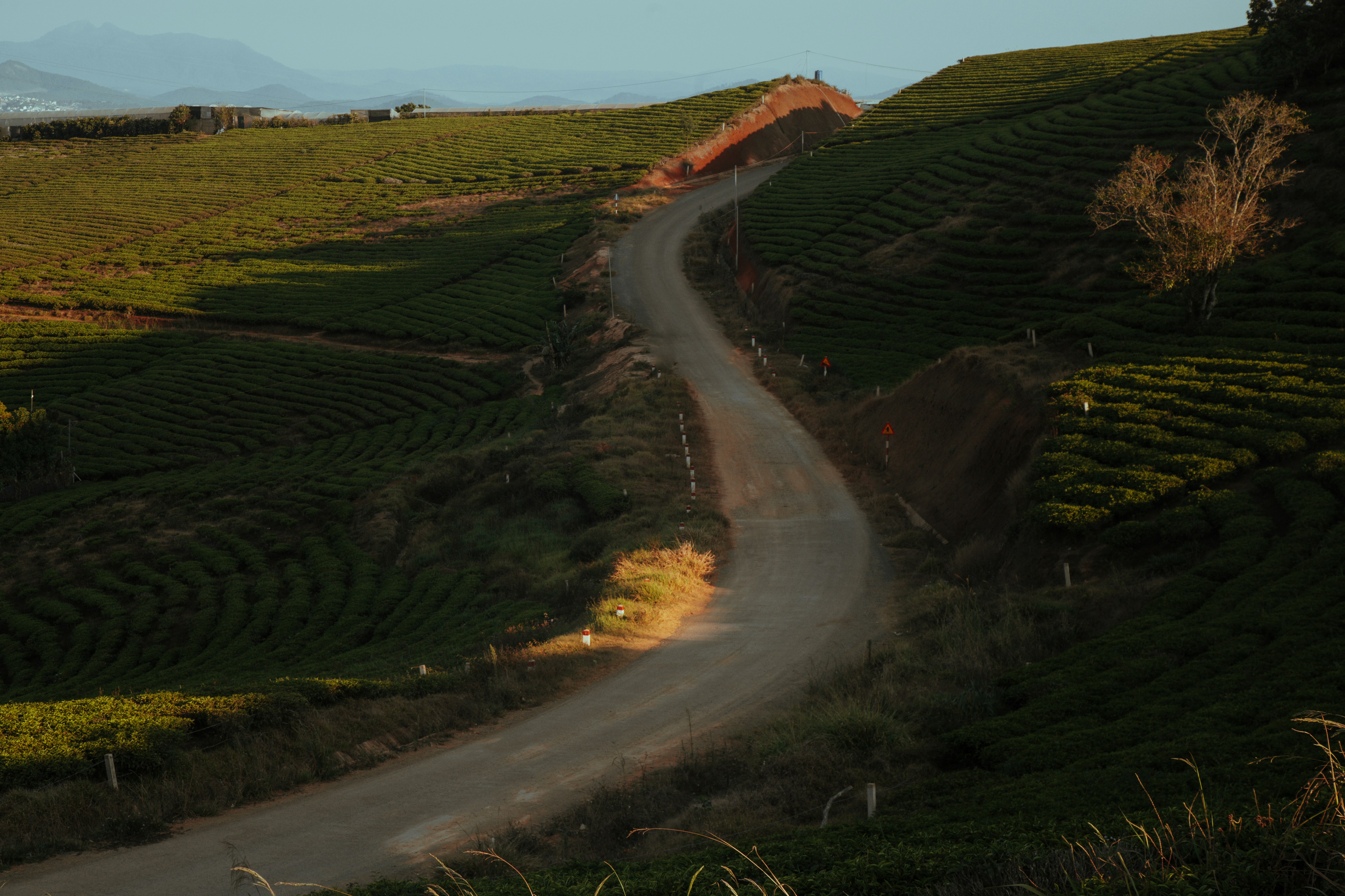 Un camino de tierra que serpentea a través de una exuberante ladera verde