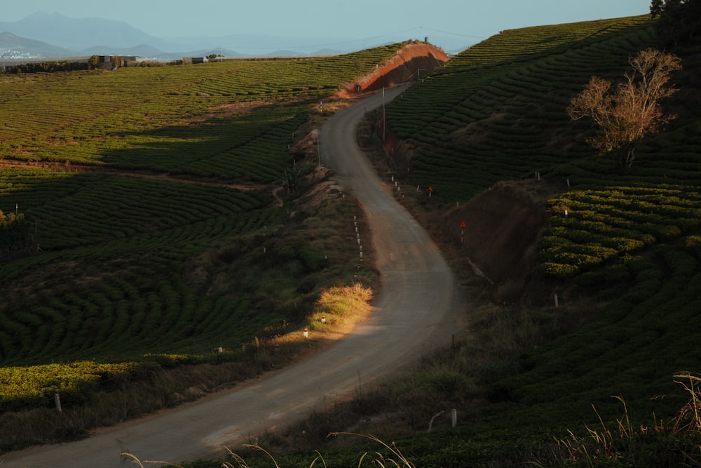 a dirt road winding through a lush green hillside