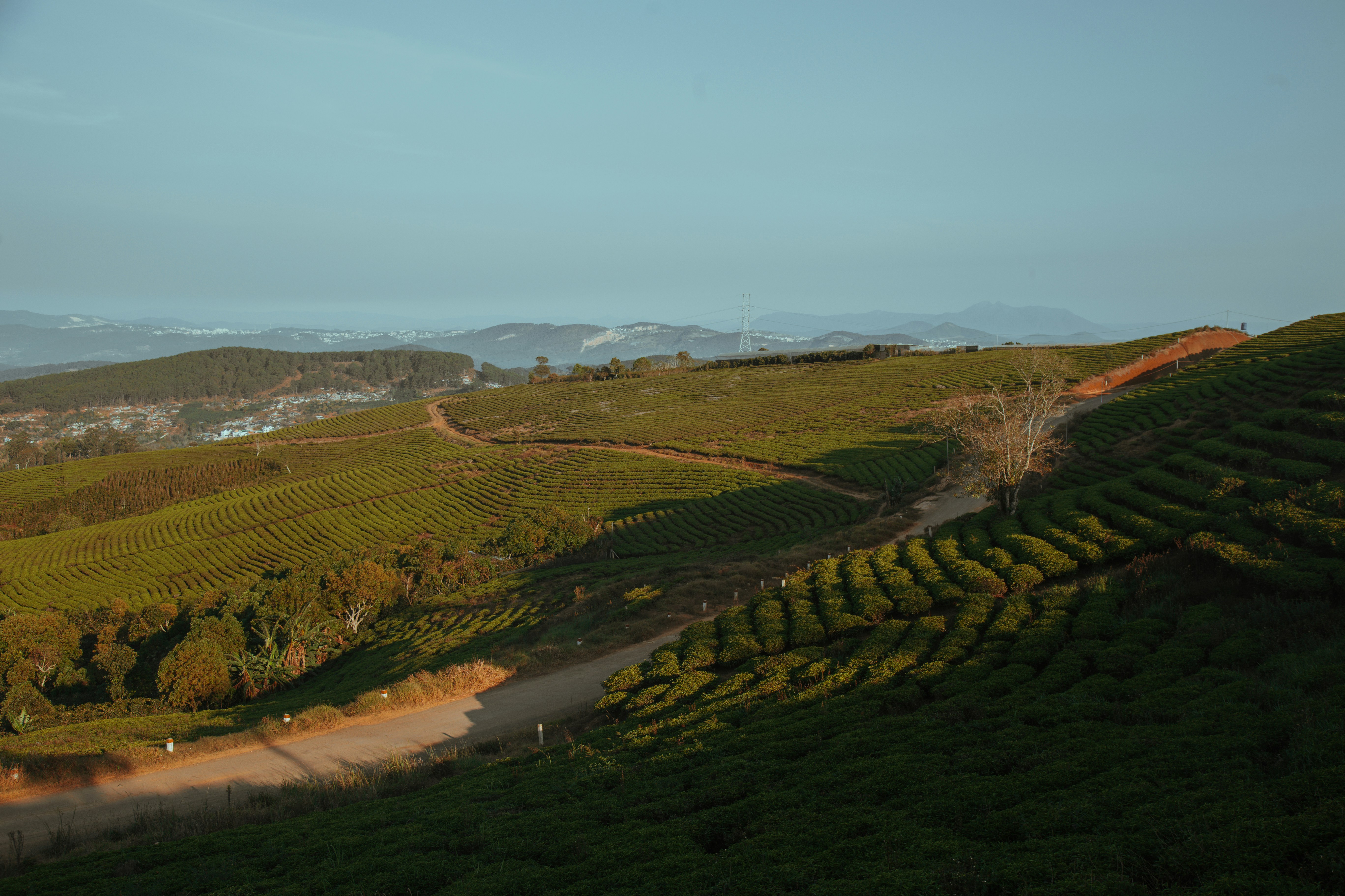 Un camino de tierra que serpentea a través de una exuberante ladera verde