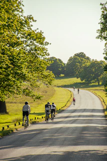 a group of people riding bikes down a road