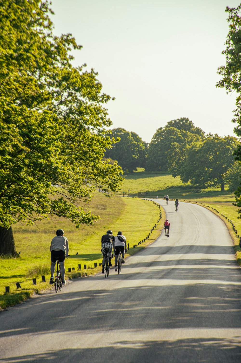 a group of people riding bikes down a road