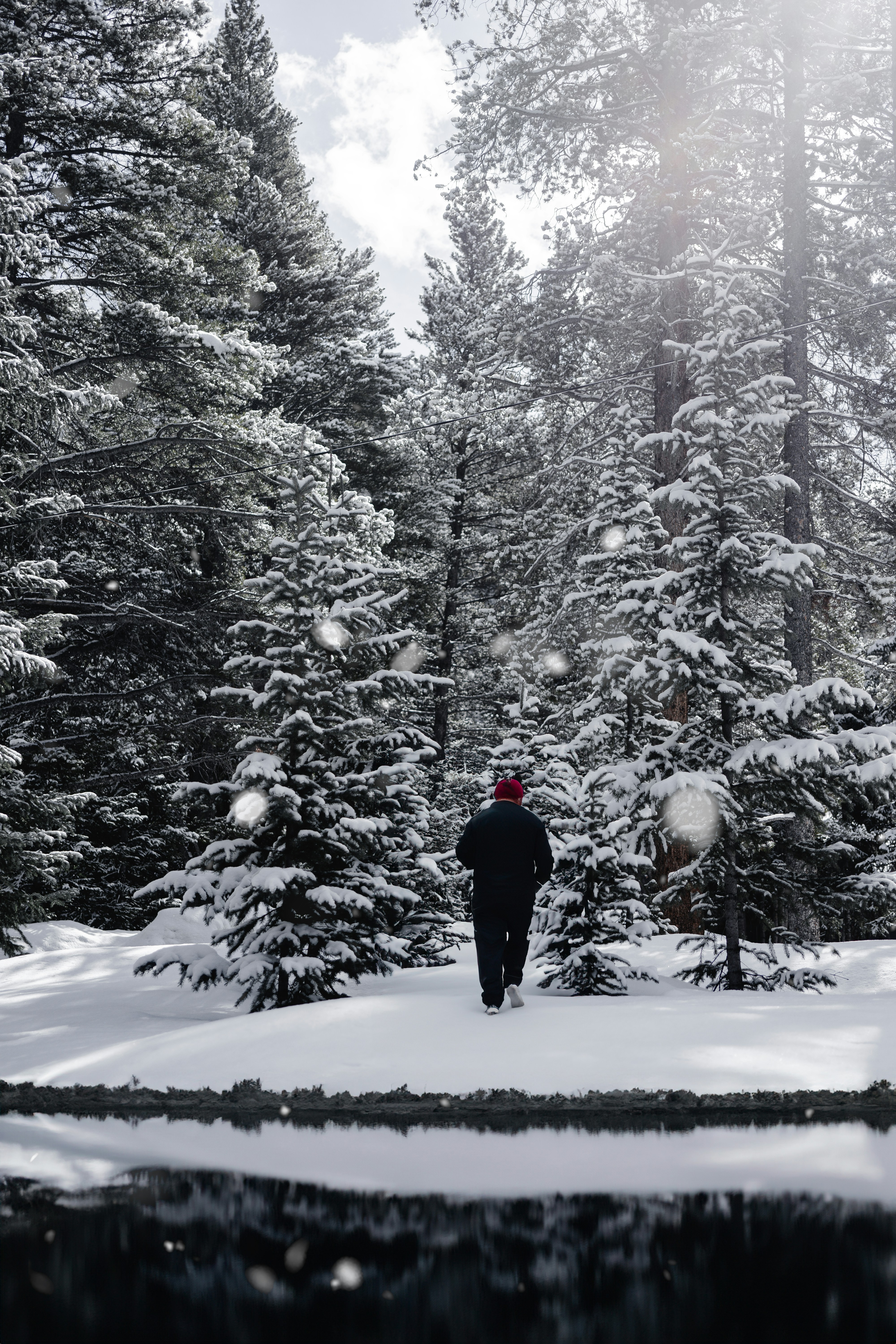 a person walking through a snow covered forest