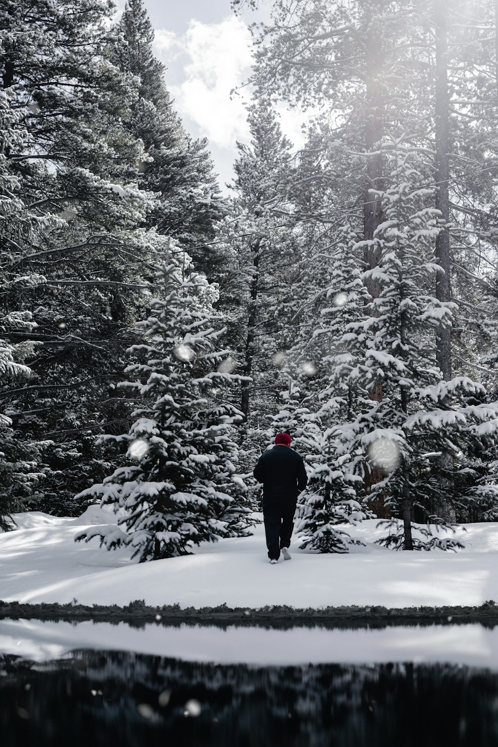 a person walking through a snow covered forest