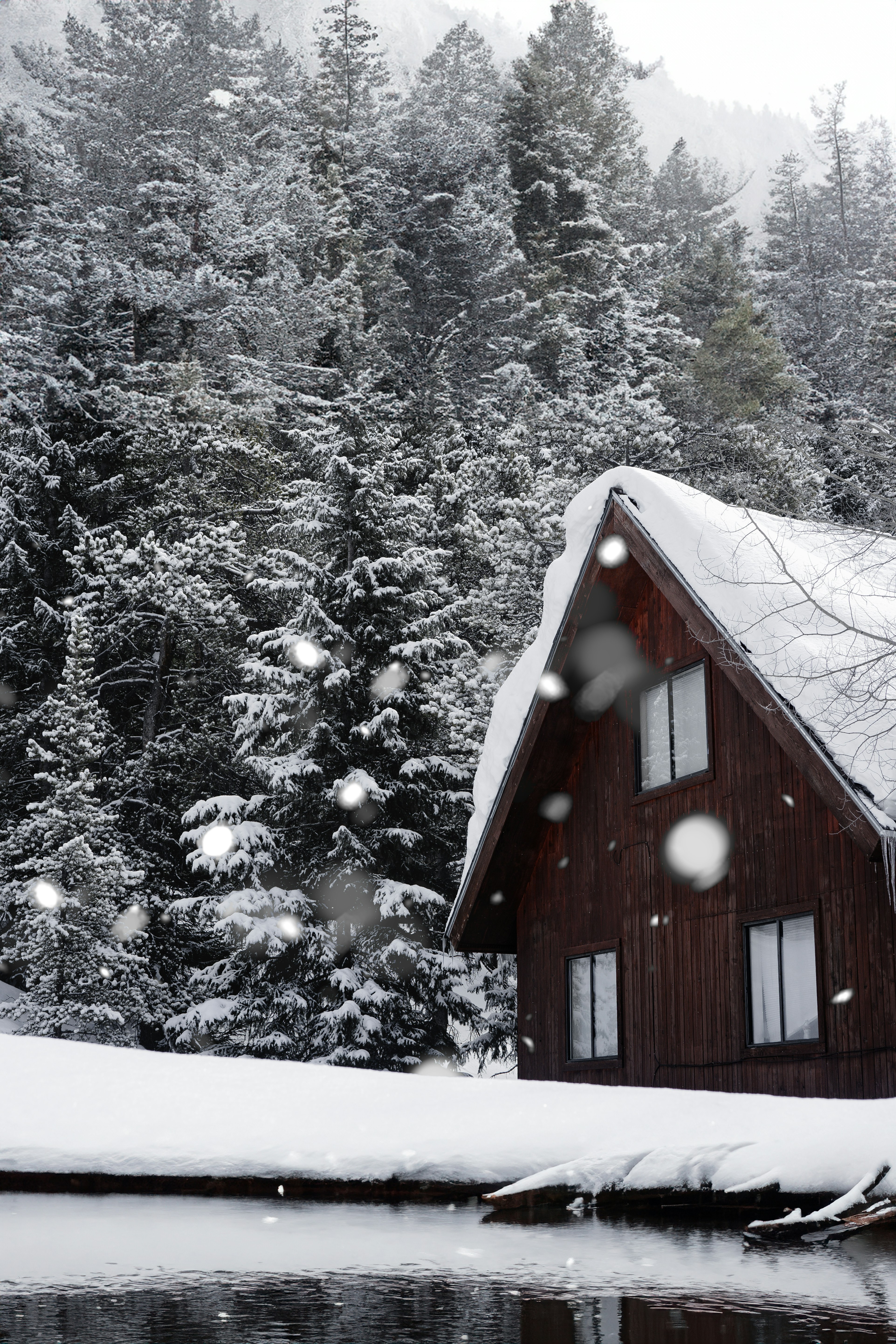 Photo by delfinaiacub