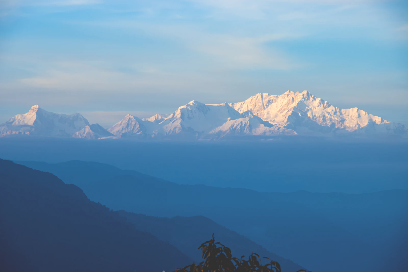 The snow peaks of Kanchenjunga catching first light above layered blue foothills near Darjeeling