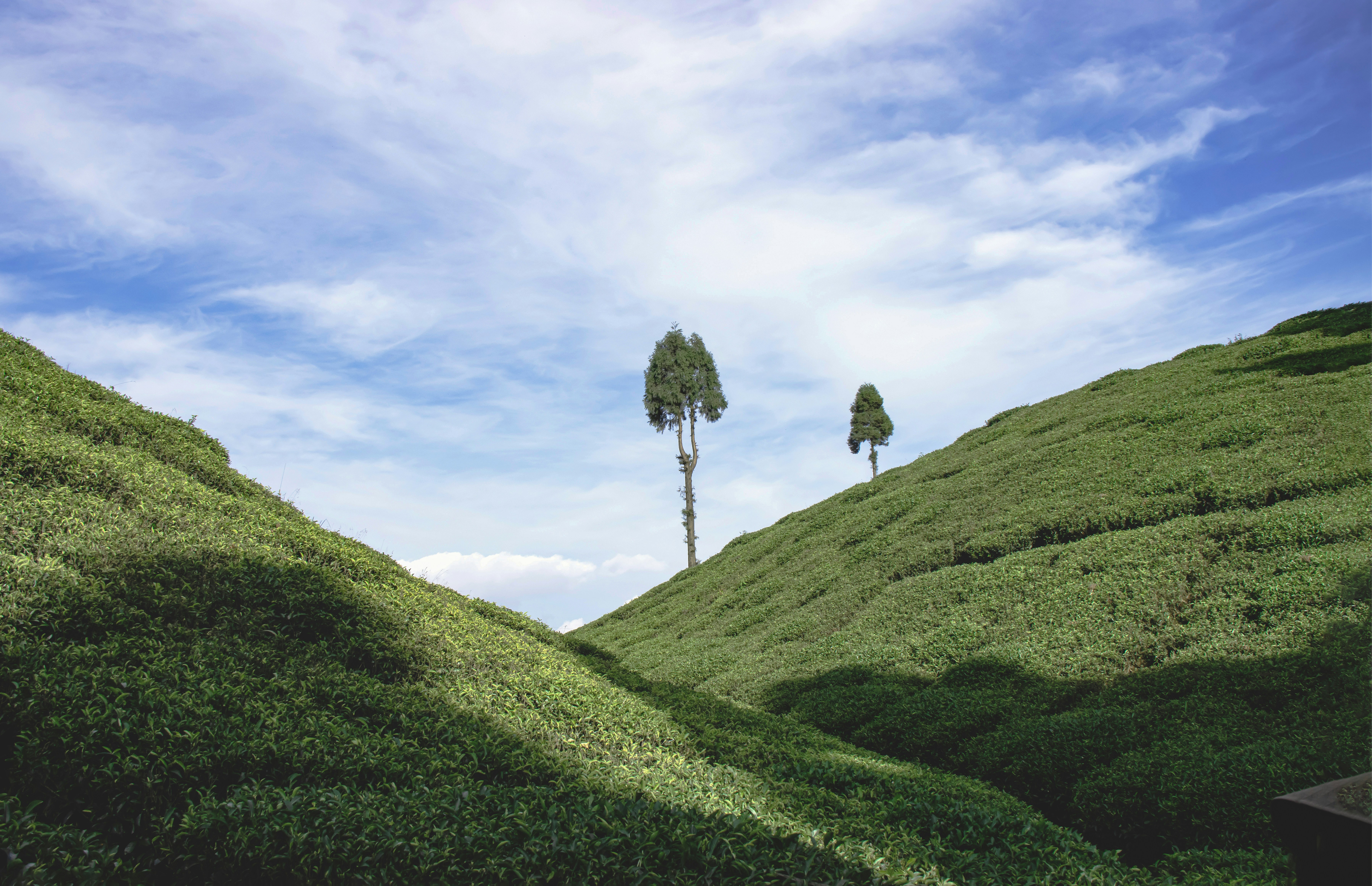 Photo by mhphotography13